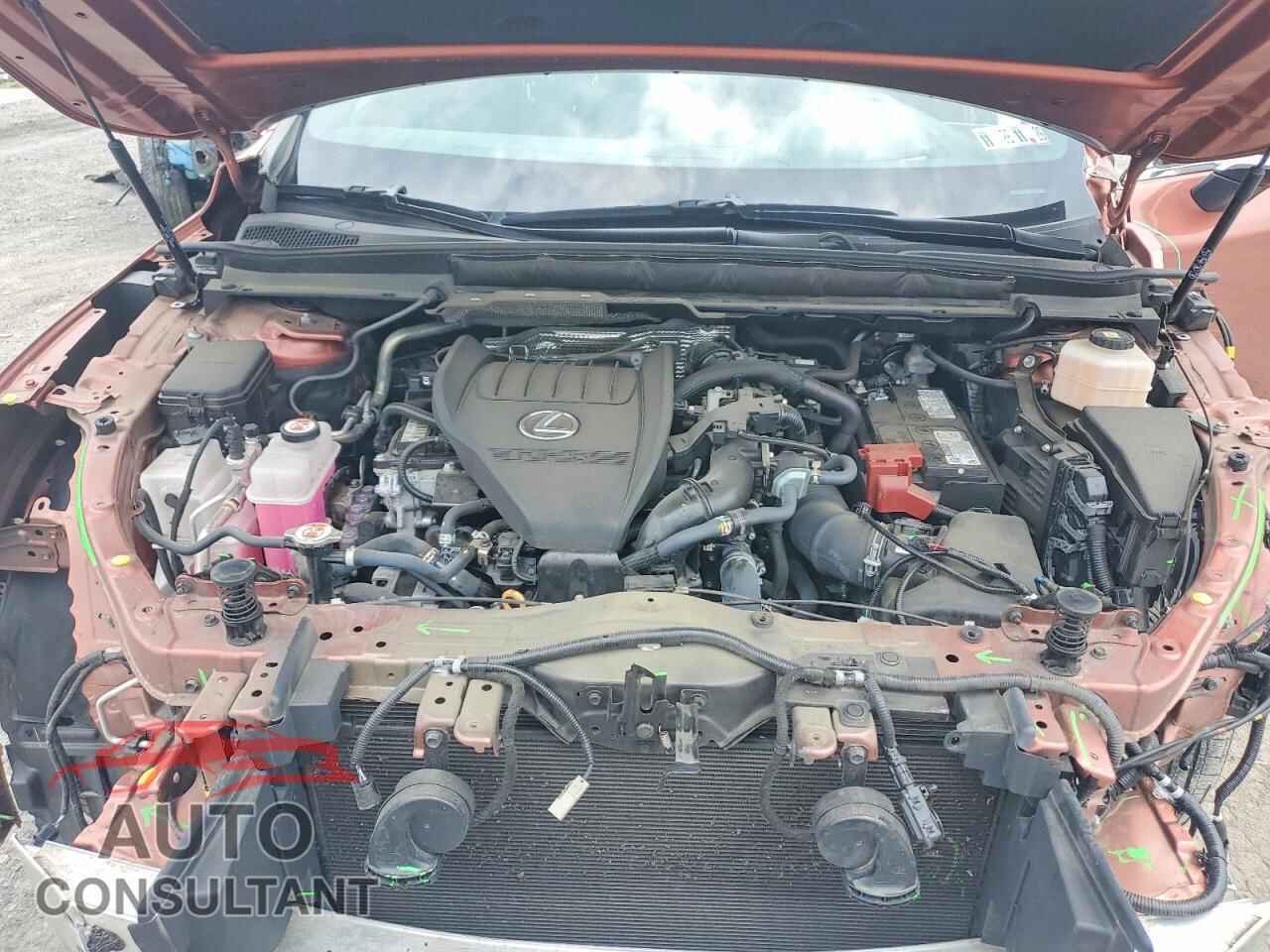 LEXUS RX350 2024 - 2T2BAMCA2RC042833
