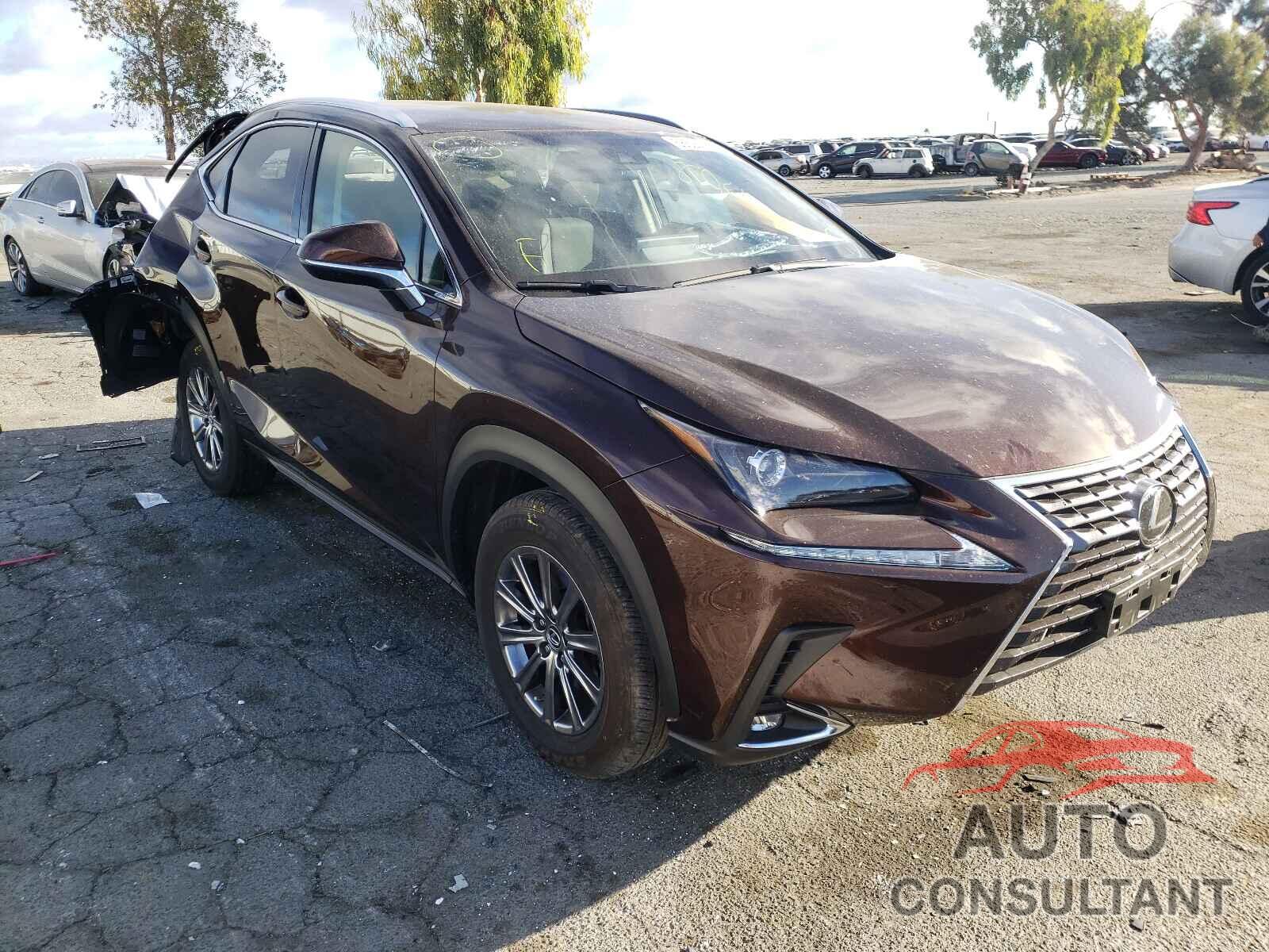 LEXUS NX 2019 - JTJYARBZ2K2121651