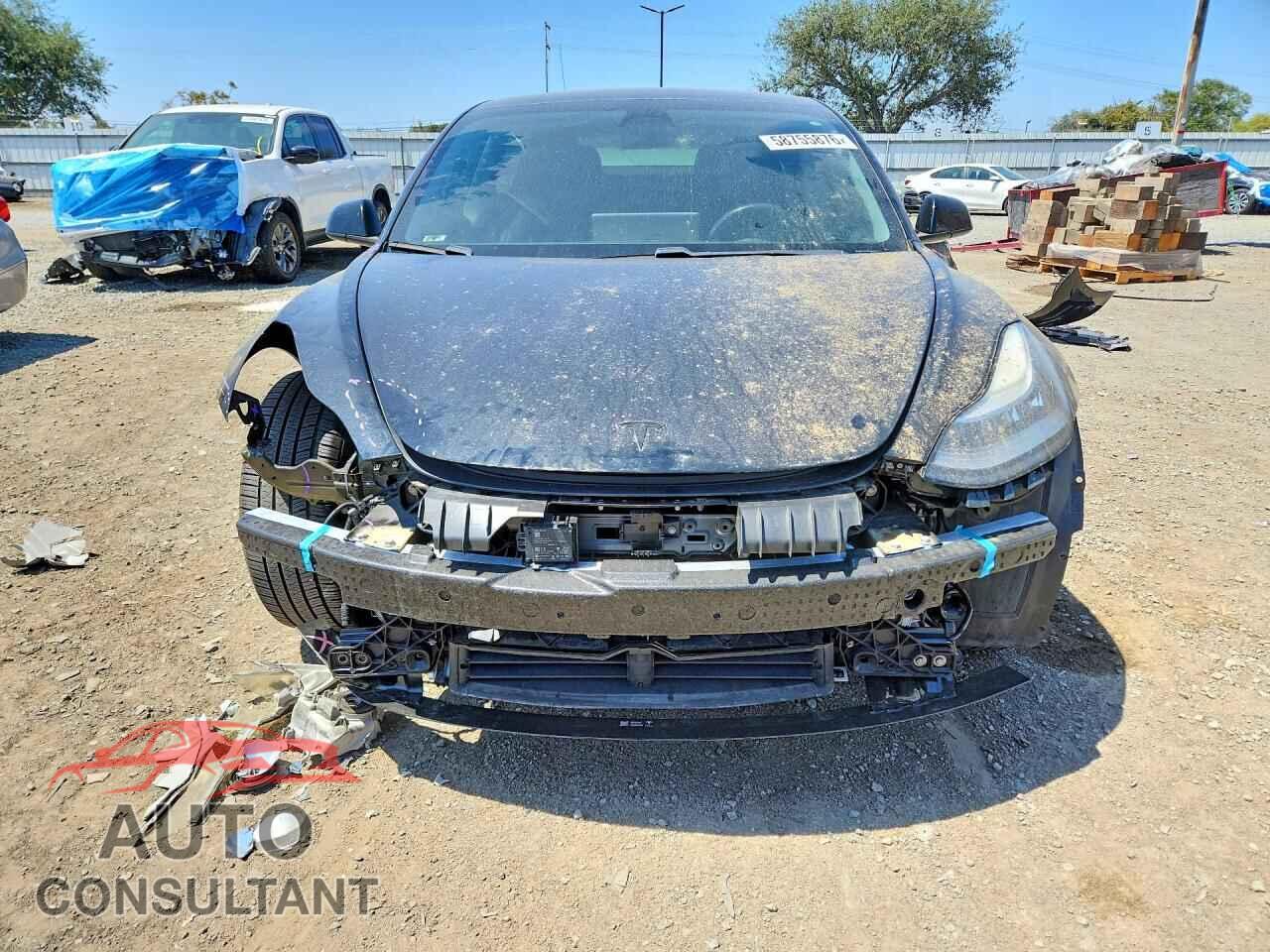 TESLA MODEL 3 2019 - 5YJ3E1EA8KF401791