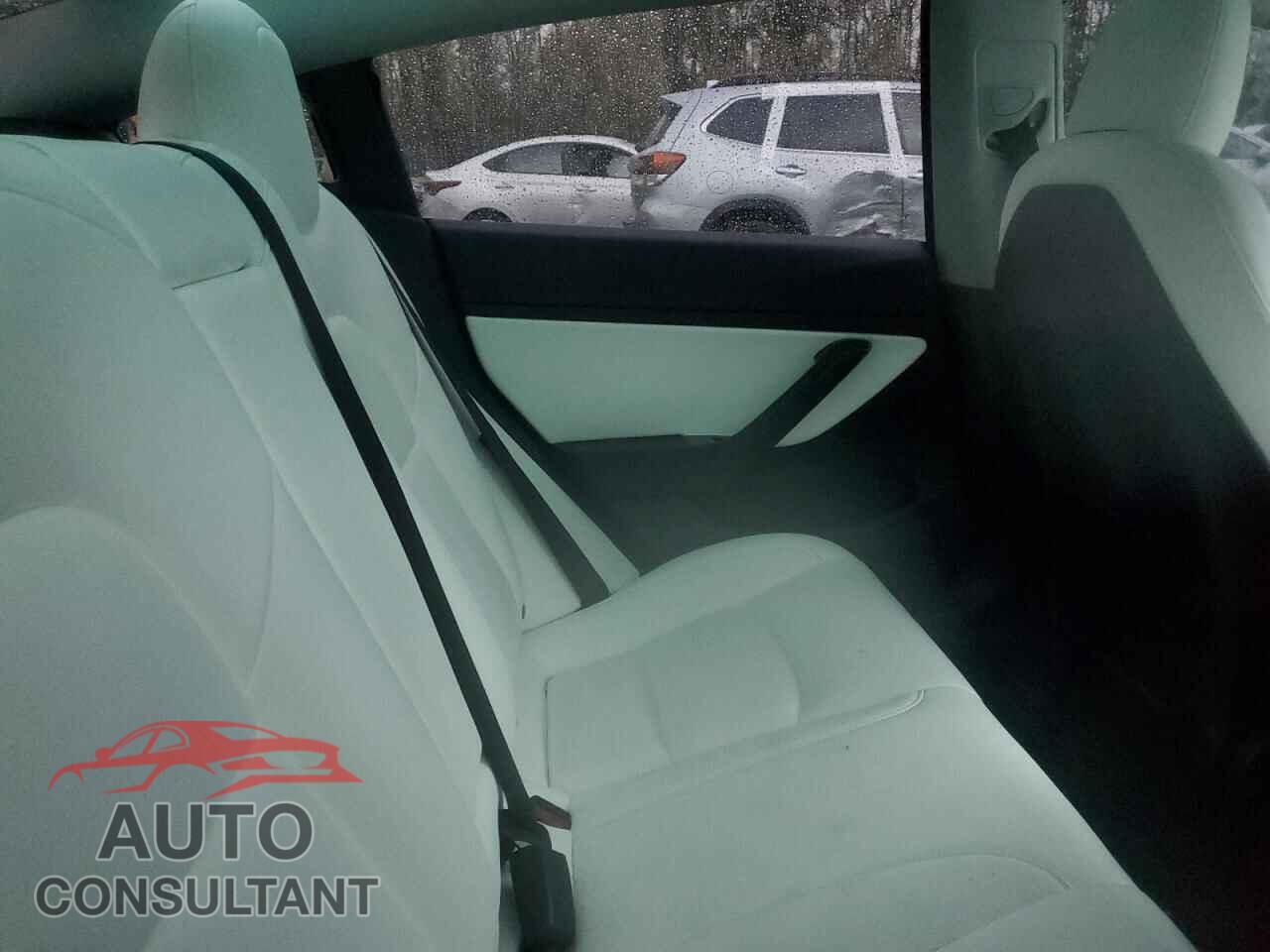 TESLA MODEL 3 2019 - 5YJ3E1EB2KF442460