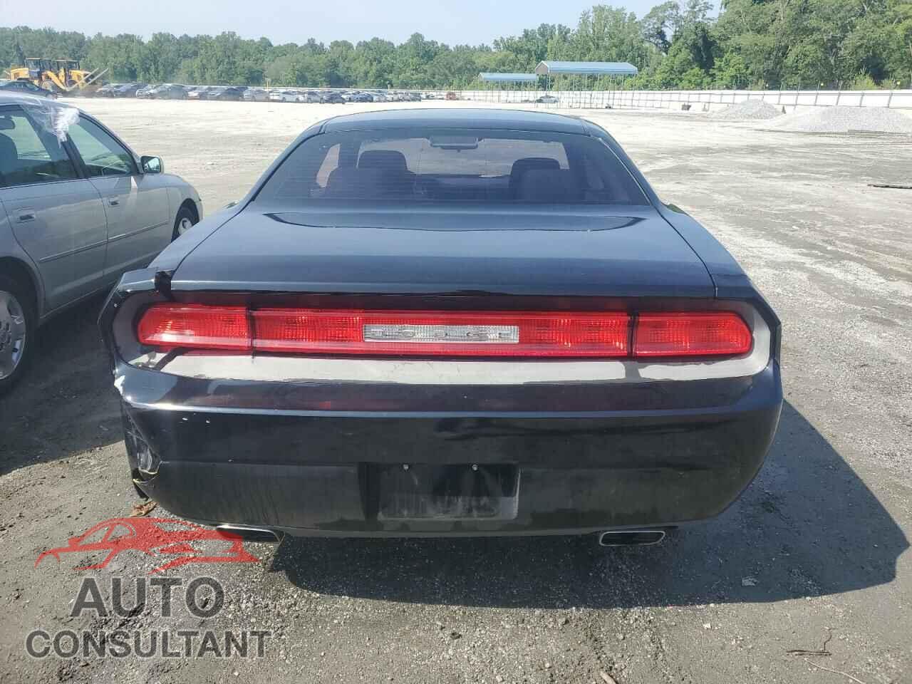 DODGE CHALLENGER 2013 - 2C3CDYAG8DH674513