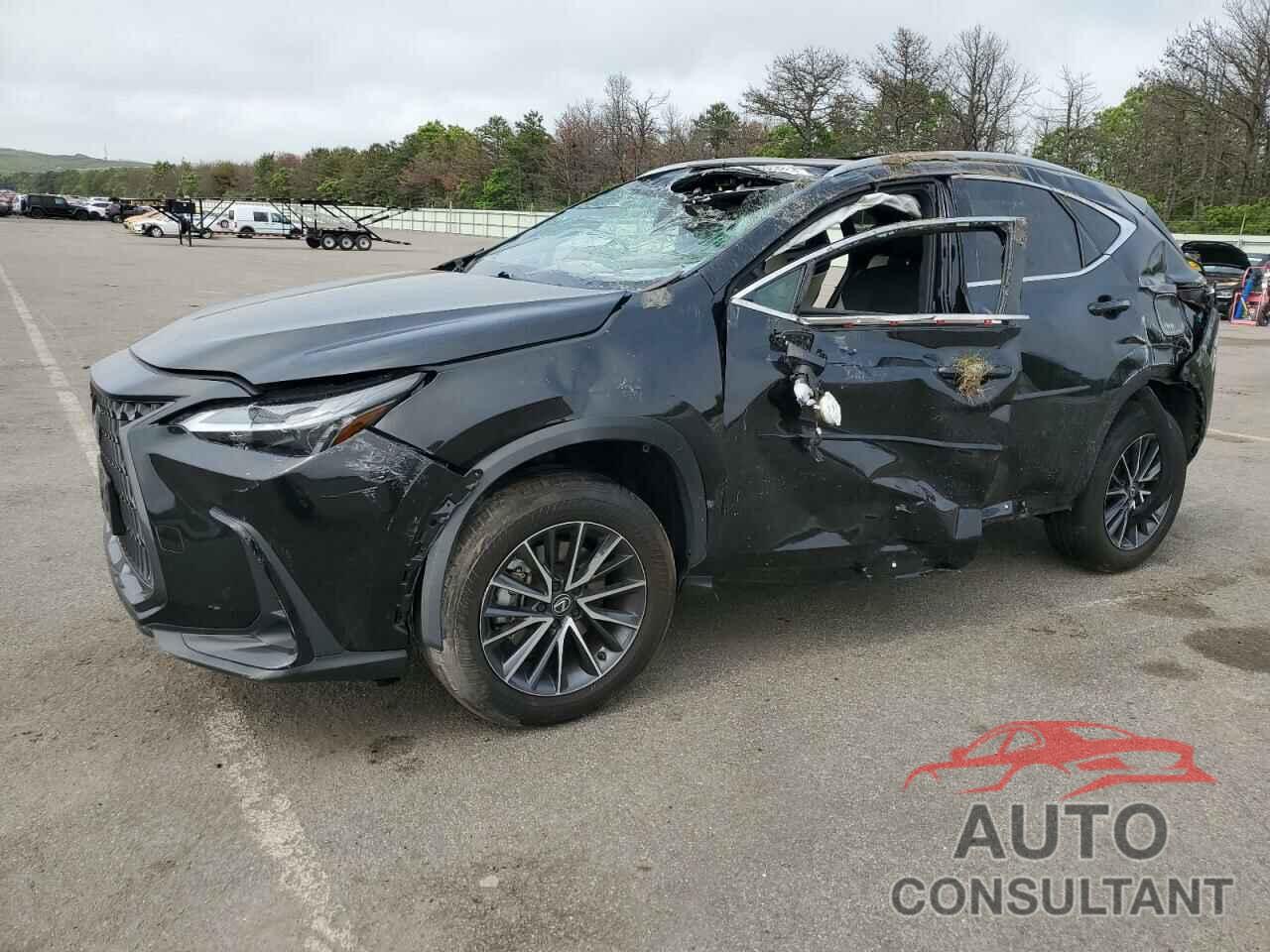LEXUS NX 250 BAS 2024 - 2T2ADCEZ1RC004168