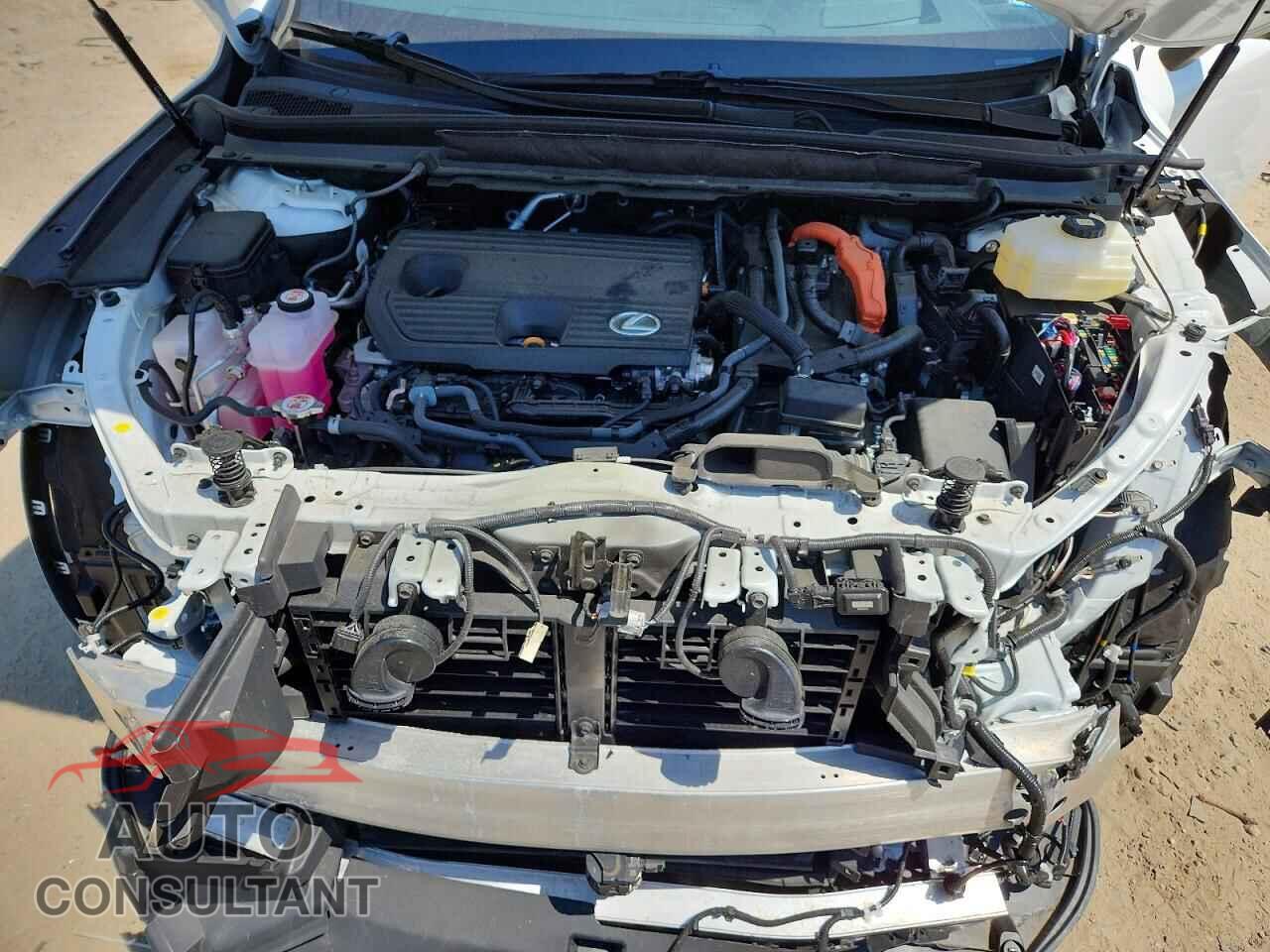 LEXUS UNKNOWN 2025 - 2T2BBMCA9SC079610