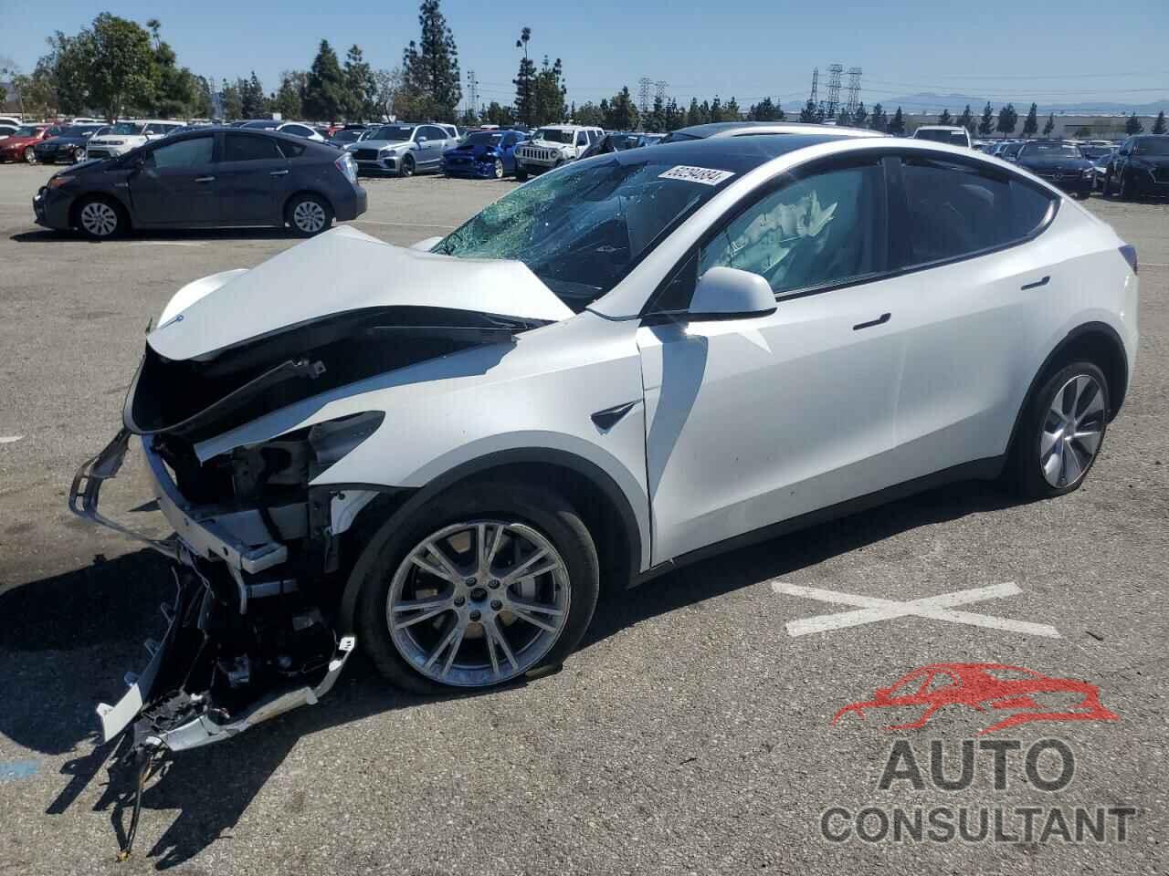 TESLA MODEL Y 2021 - 5YJYGDEE6MF282548