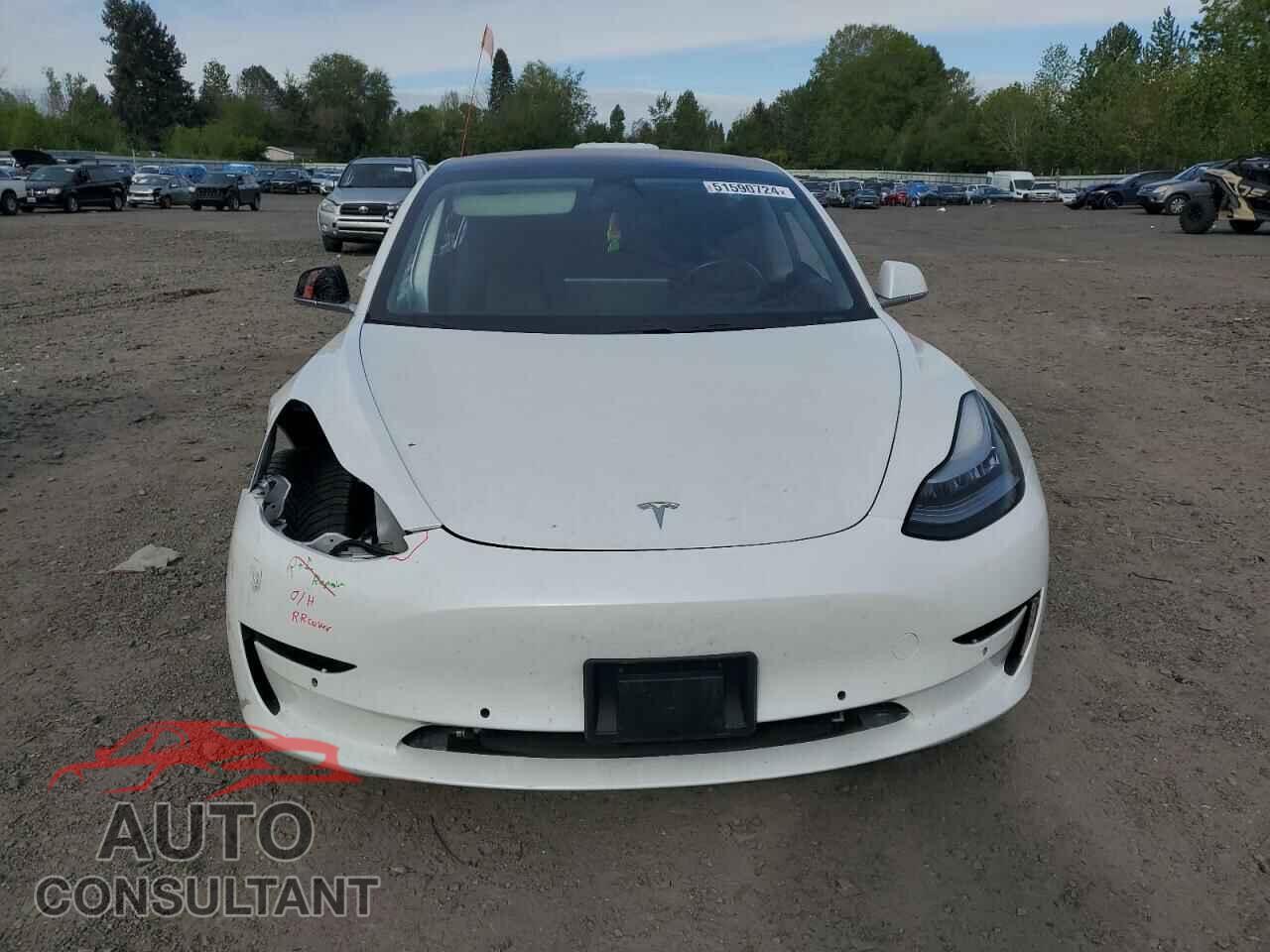 TESLA MODEL 3 2019 - 5YJ3E1EA2KF300262