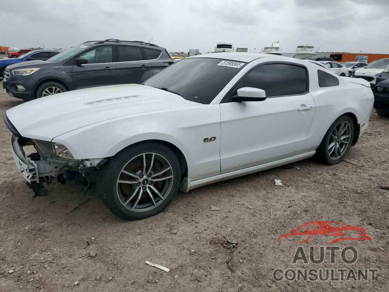 FORD MUSTANG 2014 - 1ZVBP8CF0E5326584