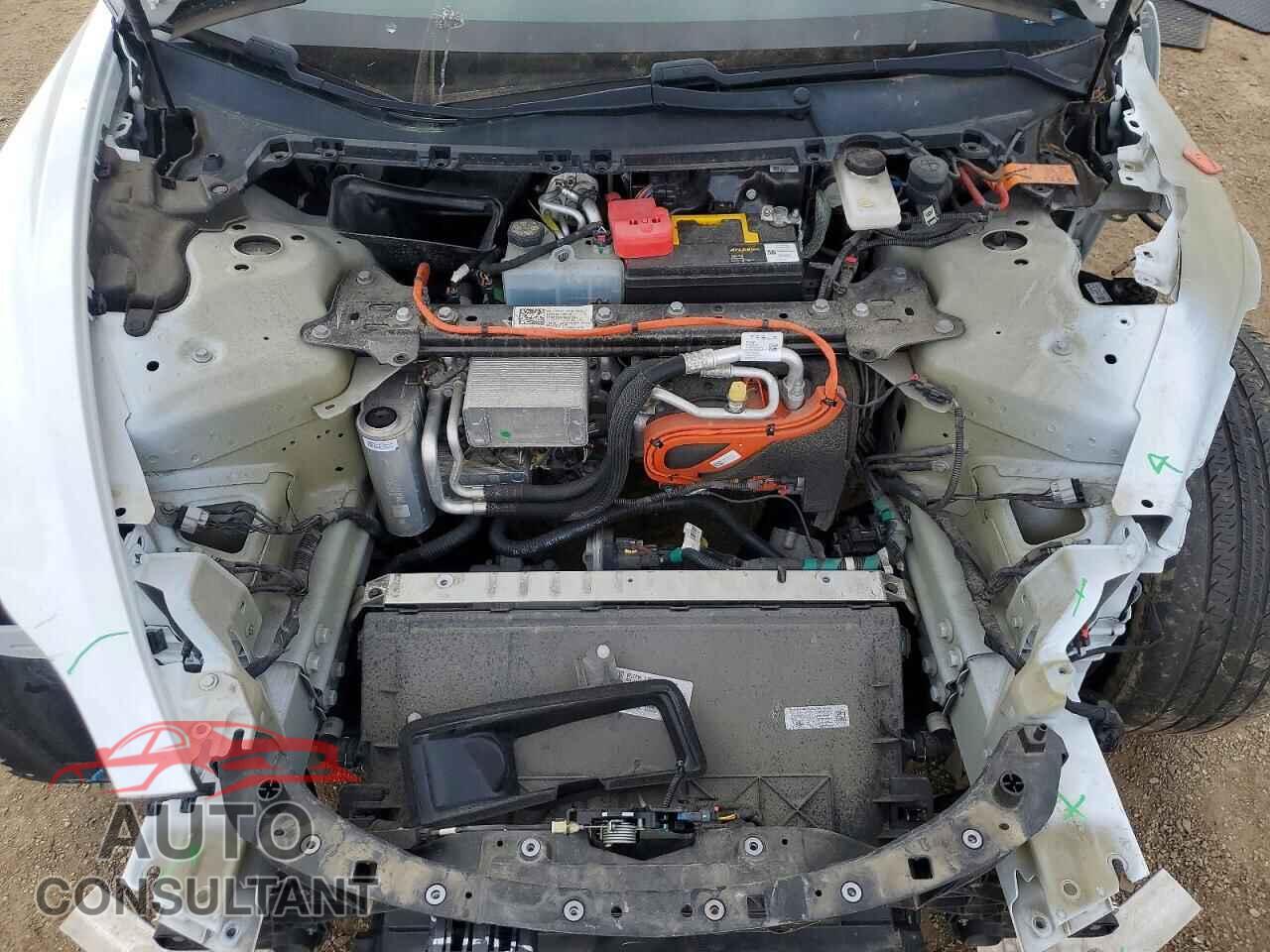 TESLA MODEL 3 2021 - 5YJ3E1EA1MF921804