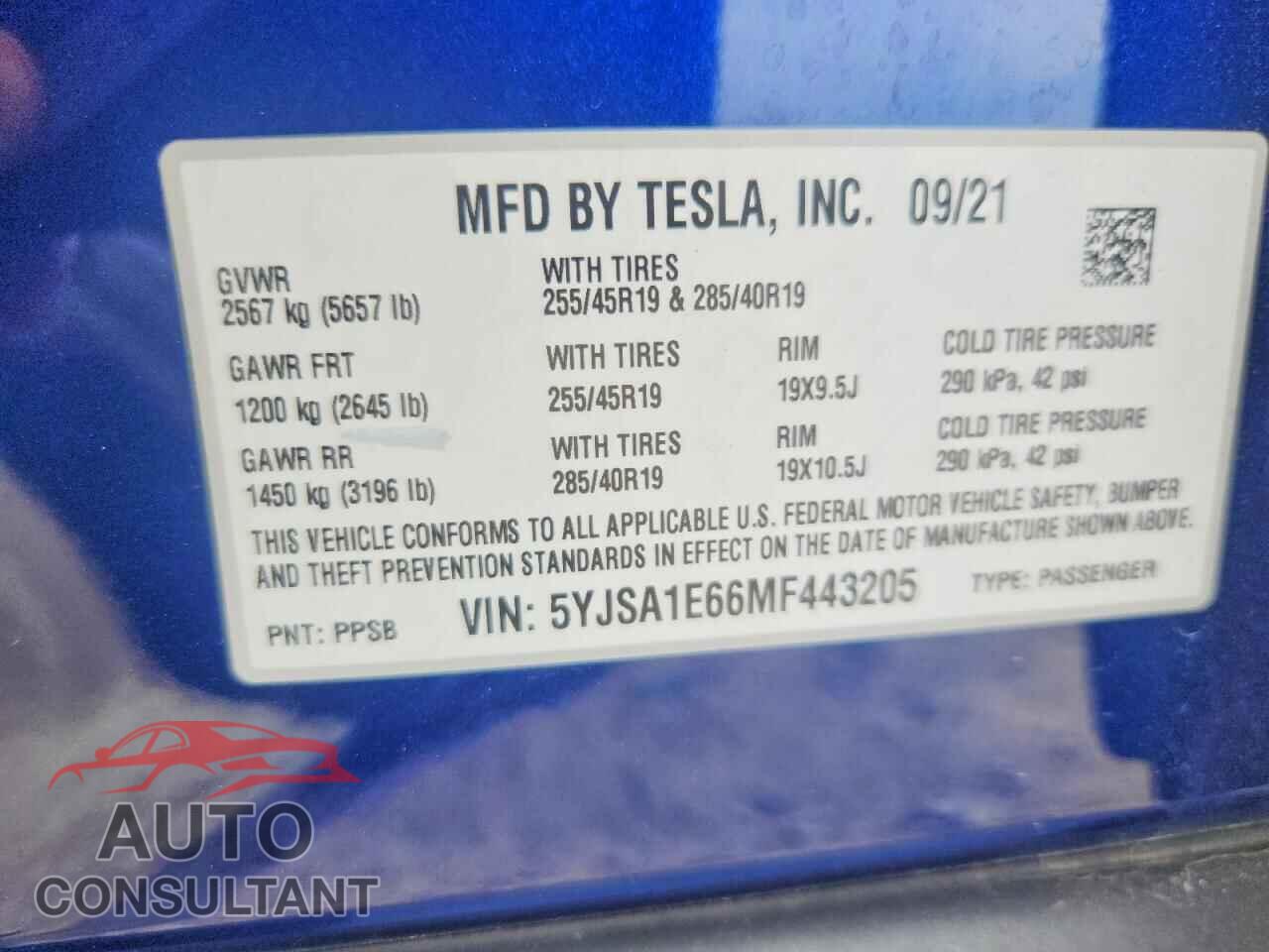 TESLA MODEL S 2021 - 5YJSA1E66MF443205