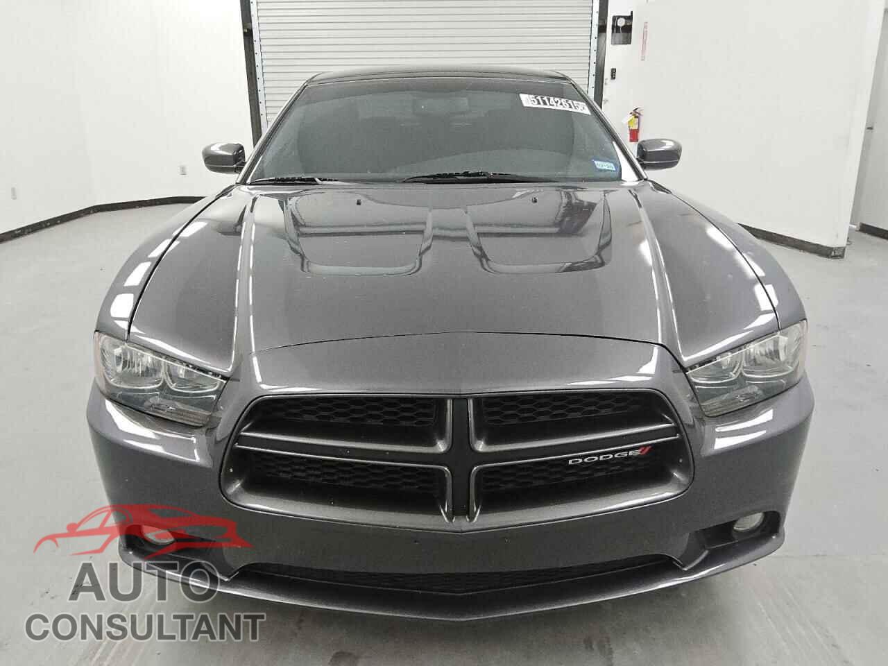DODGE CHARGER 2014 - 2C3CDXHG1EH319488