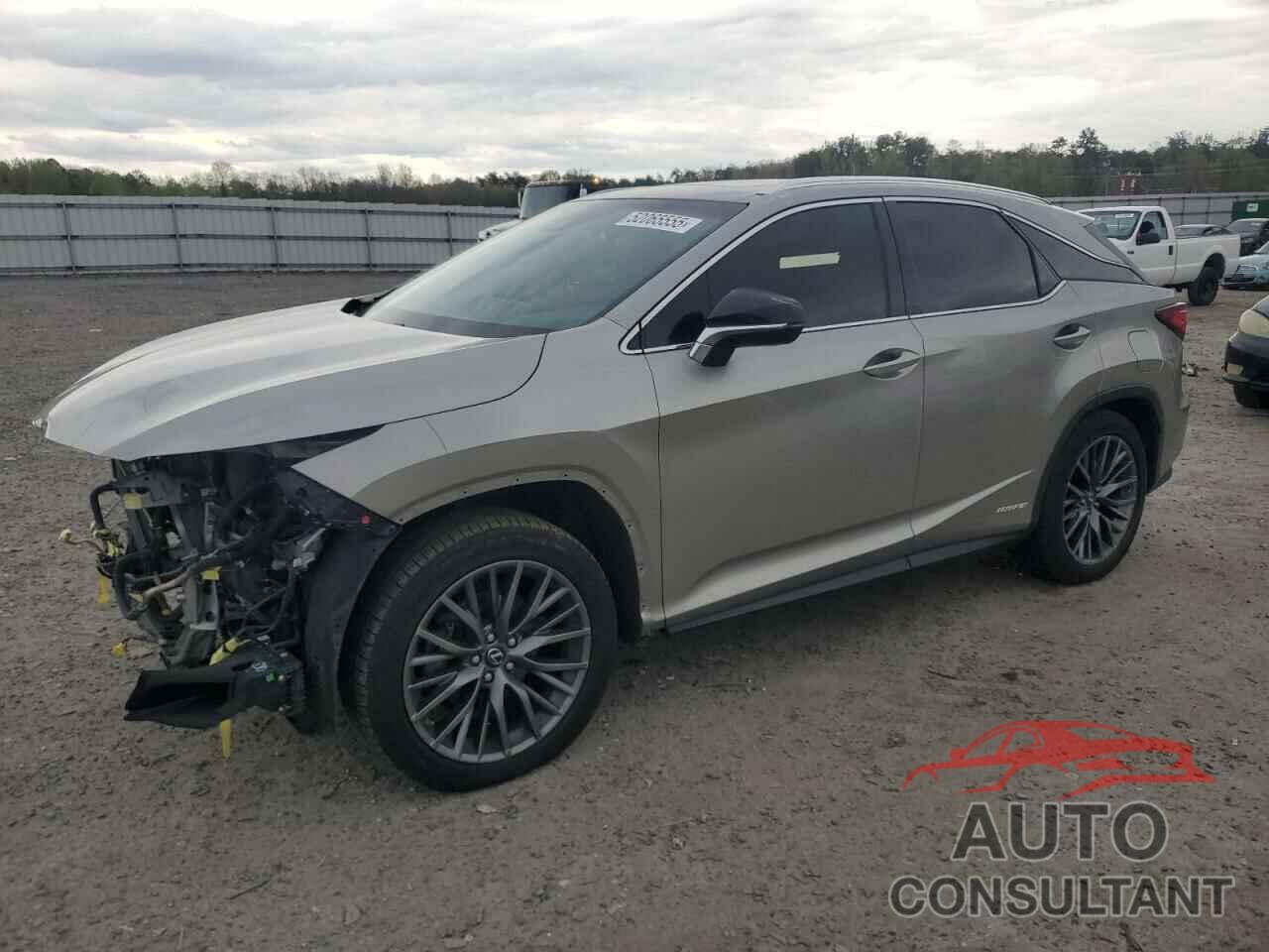 LEXUS RX450 2019 - 2T2BGMCA6KC031211