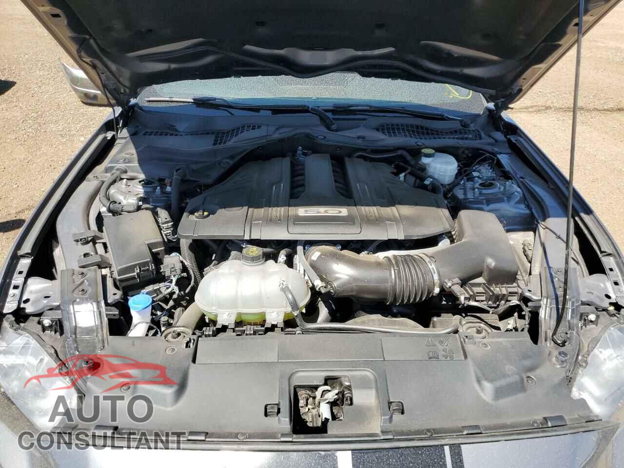 FORD MUSTANG 2021 - 1FA6P8CF1M5118058