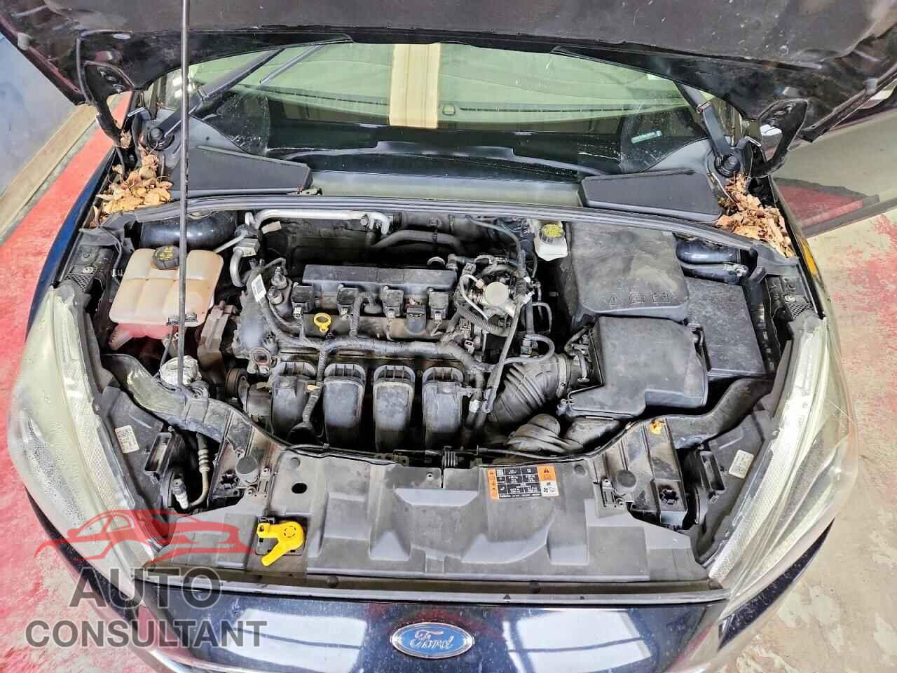 FORD FOCUS 2017 - 1FADP3F20HL340191