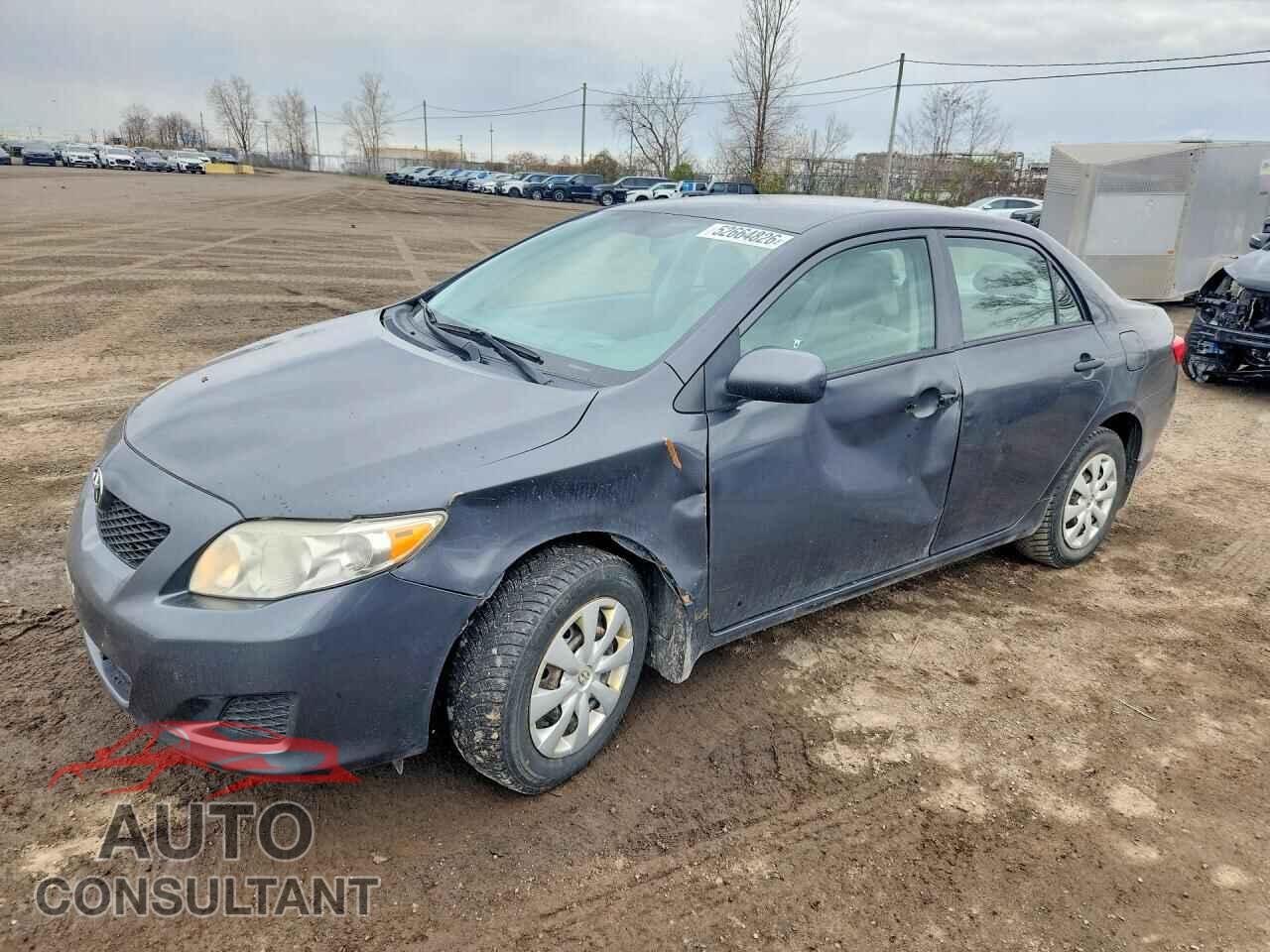 TOYOTA COROLLA 2010 - 2T1BU4EE7AC191951