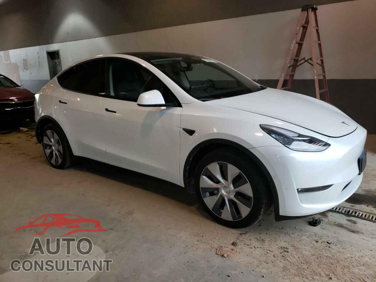 TESLA MODEL Y 2022 - 7SAYGAEE7NF515727