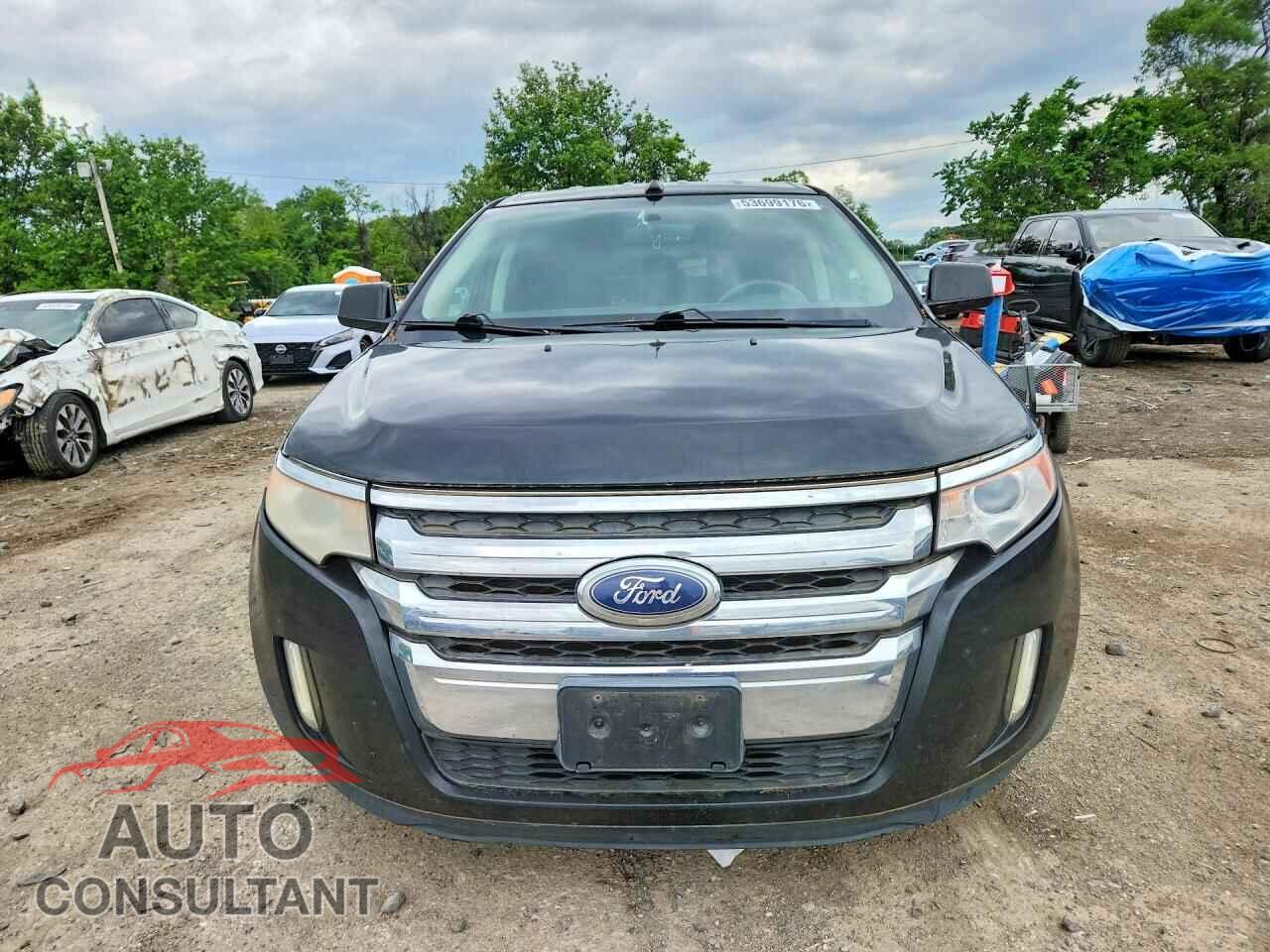 FORD EDGE 2011 - 2FMDK4JC1BBA50219