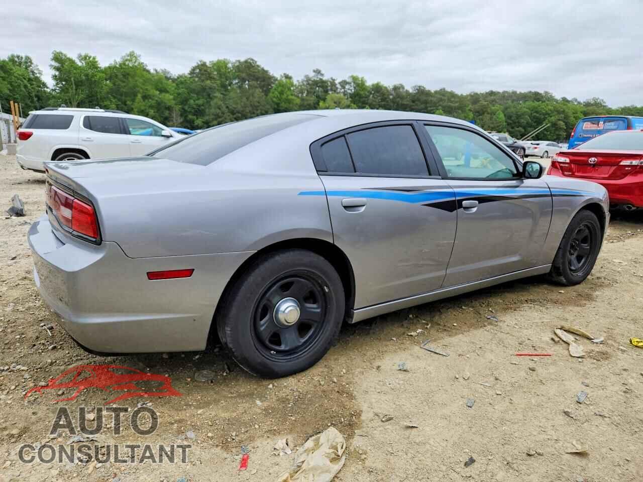 DODGE CHARGER 2014 - 2C3CDXAT2EH332077