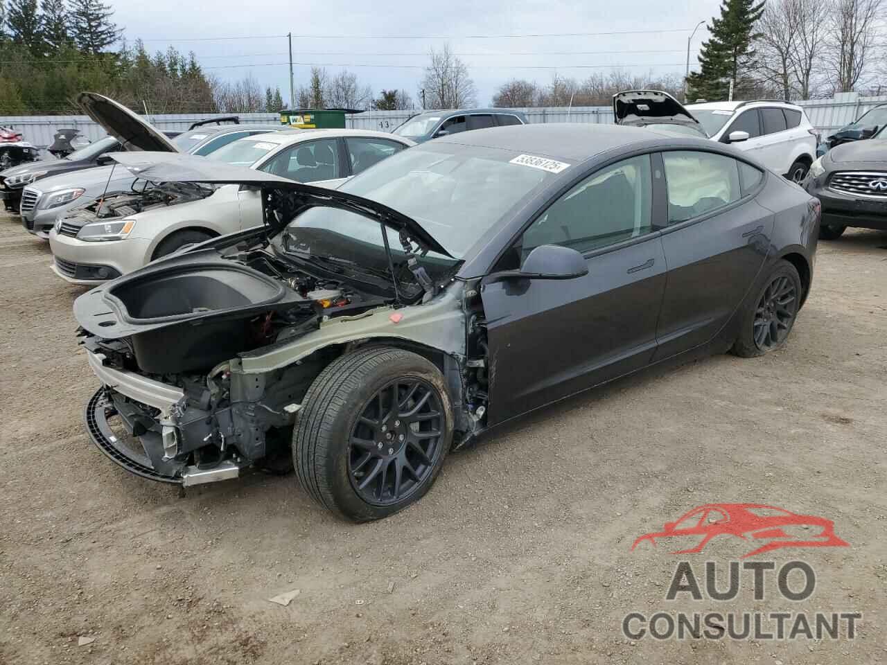 TESLA MODEL 3 2025 - 5YJ3E1EB2SF884851