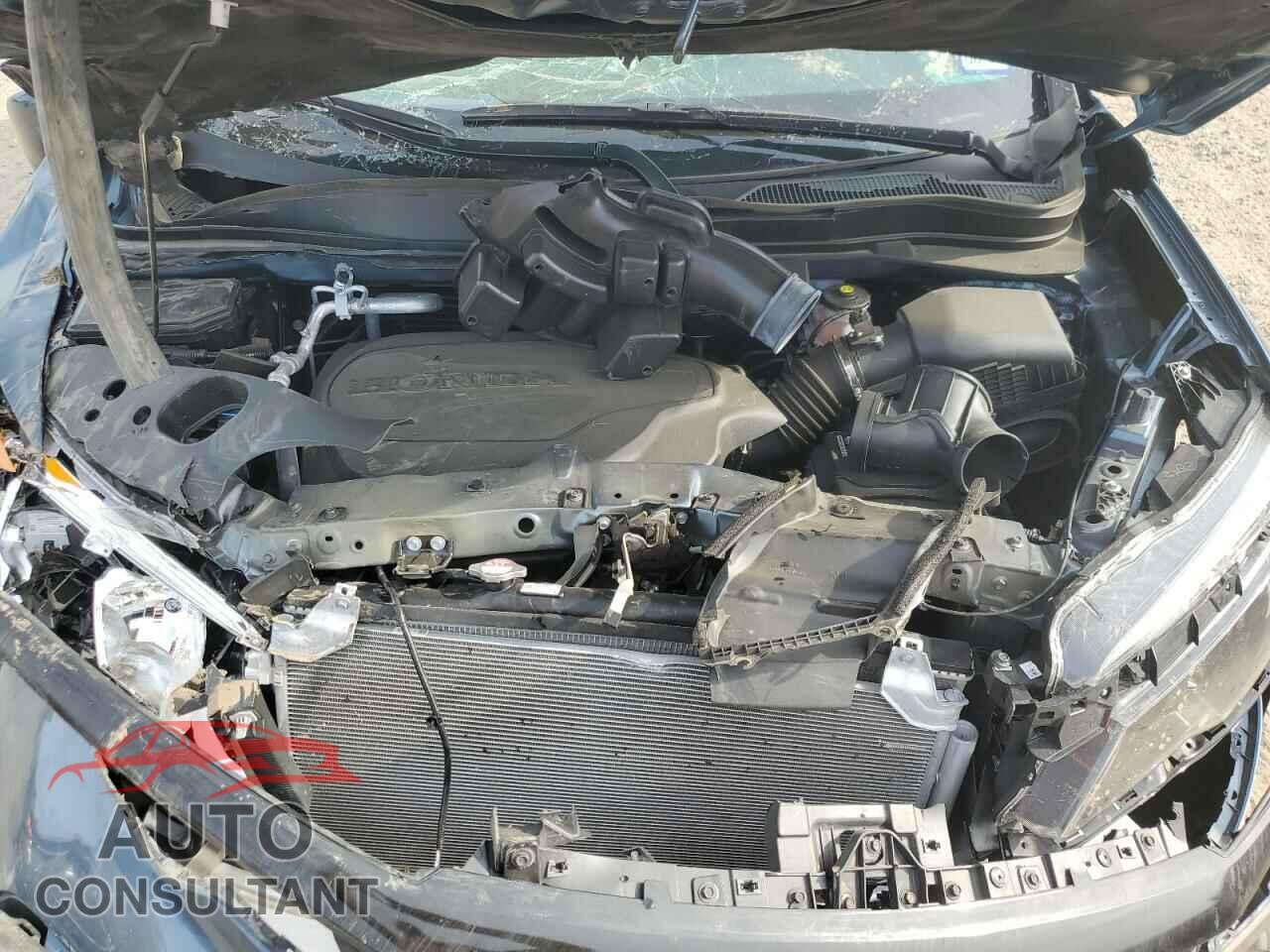 HONDA PILOT 2021 - 5FNYF5H21MB043841