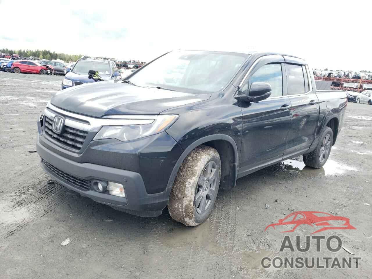 HONDA RIDGELINE 2020 - 5FPYK3F51LB501431