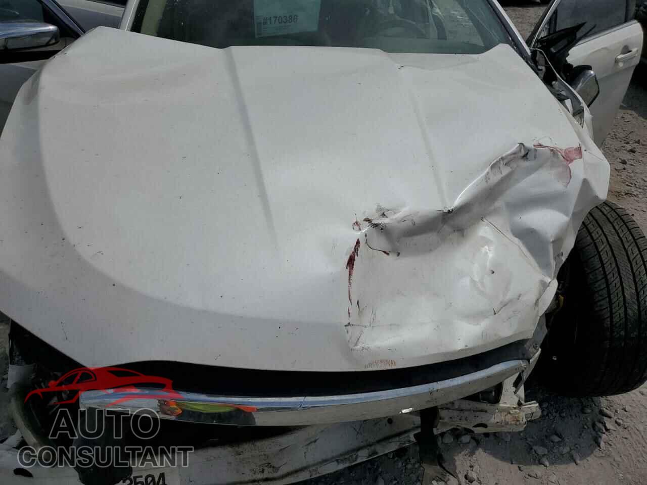 FORD TAURUS 2010 - 1FAHP2FW7AG101654