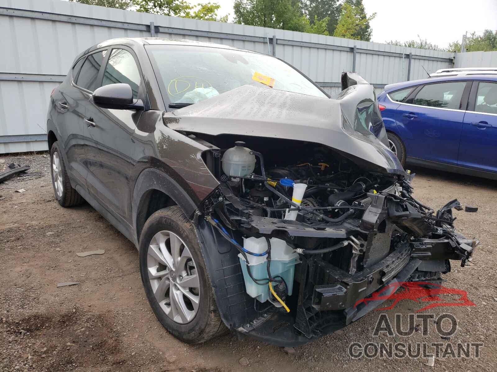 HYUNDAI TUCSON 2020 - KM8J23A44LU103884