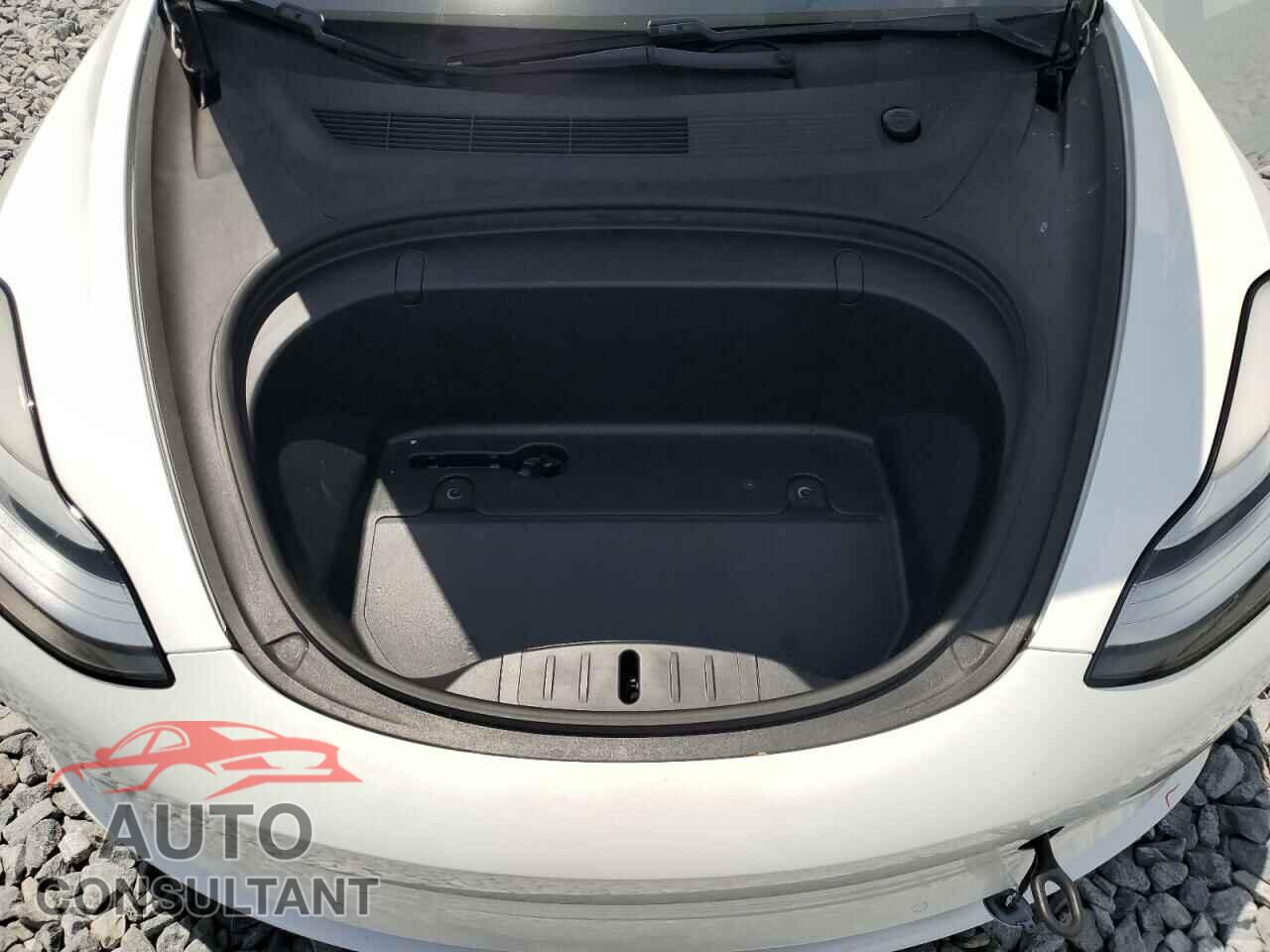TESLA MODEL 3 2019 - 5YJ3E1EB2KF391185