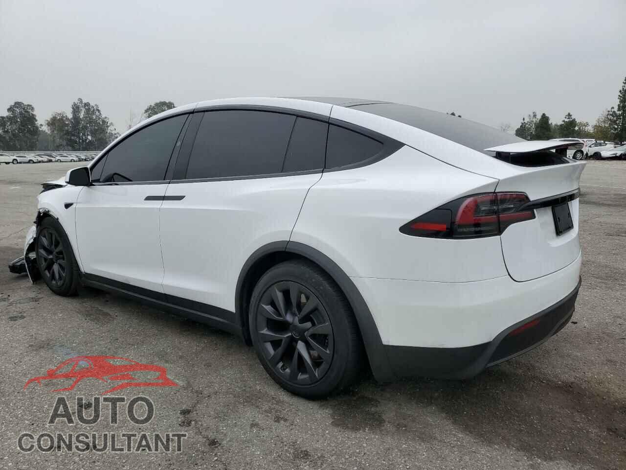 TESLA MODEL X 2023 - 7SAXCDE55PF430610