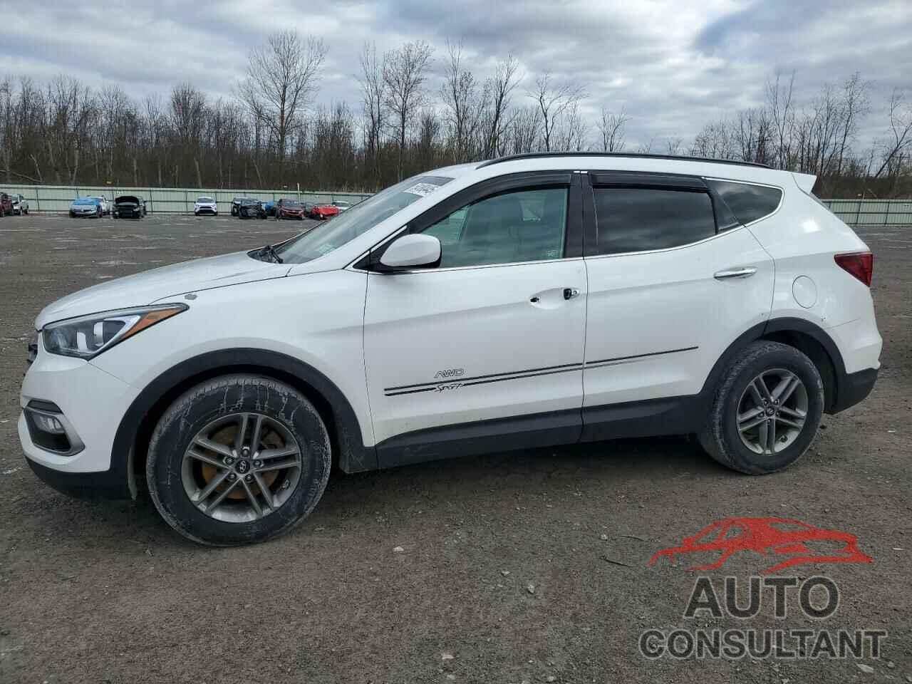 HYUNDAI SANTA FE 2017 - 5NMZUDLB6HH030048