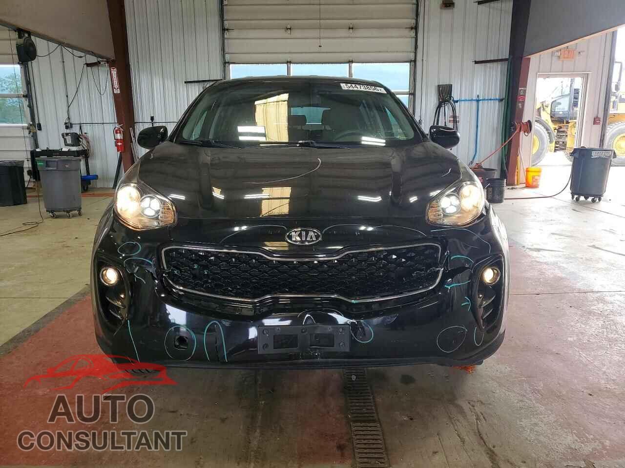 KIA SPORTAGE 2017 - KNDPMCAC3H7207014