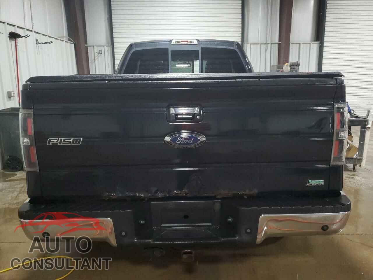 FORD F-150 2010 - 1FTFX1EVXAKA82471