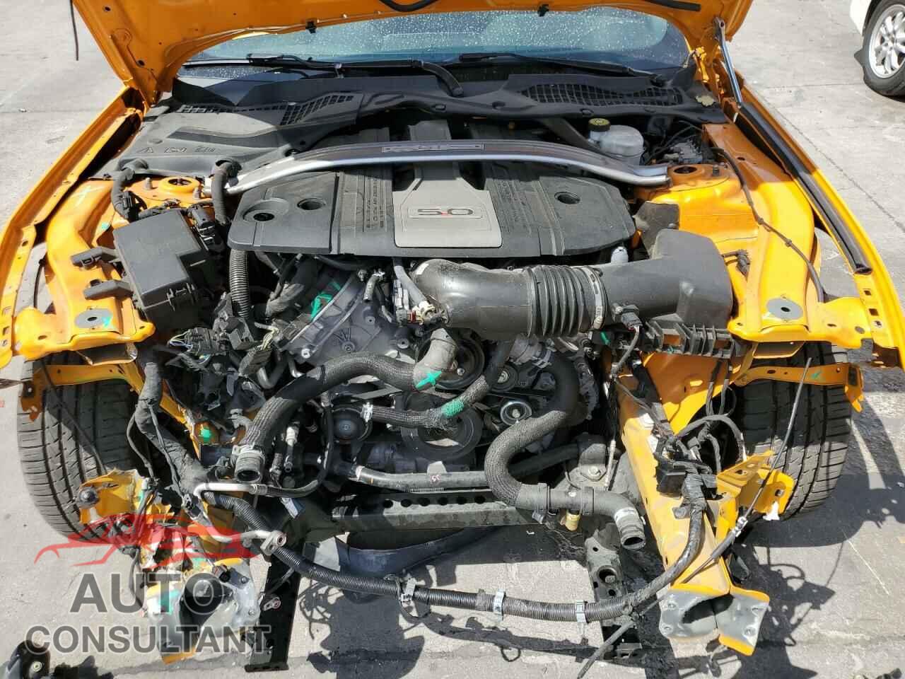 FORD MUSTANG 2019 - 1FA6P8CF2K5116896