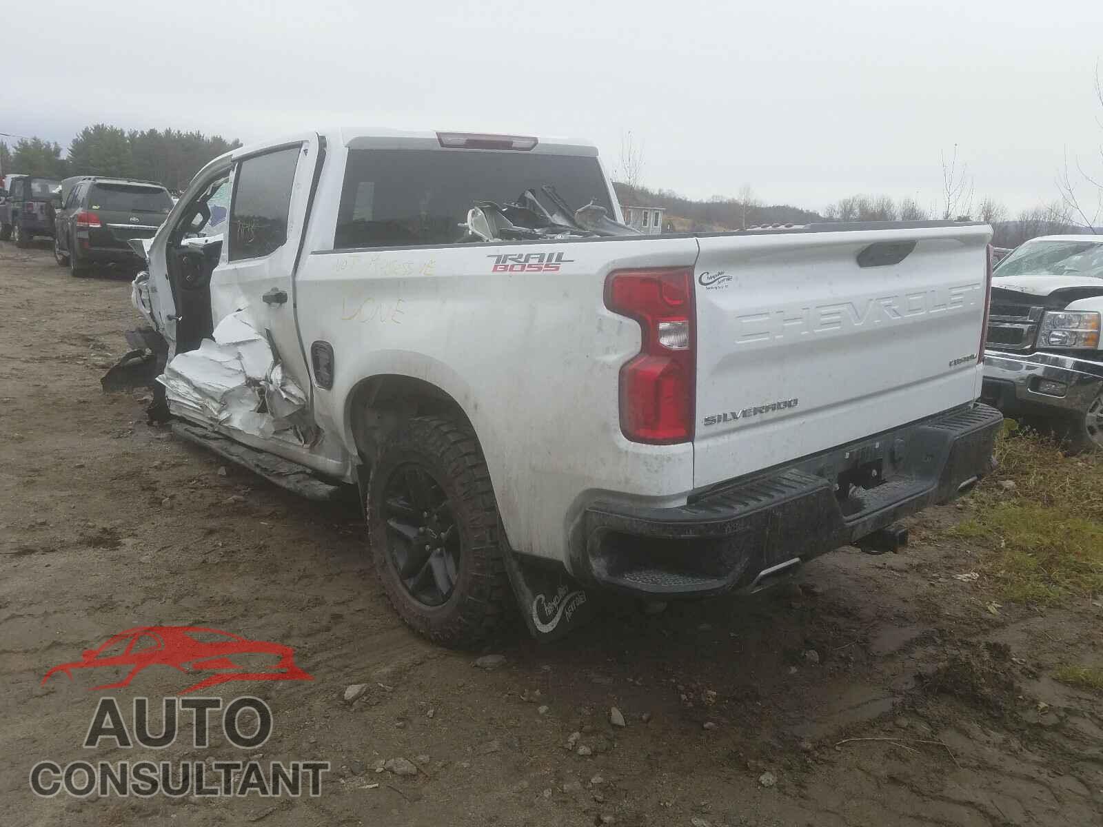 CHEVROLET SILVERADO 2020 - 1GCPYCEF7LZ109934