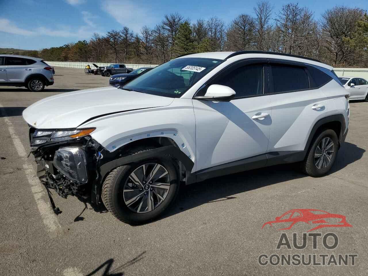HYUNDAI TUCSON 2024 - KM8JBCD13RU194897