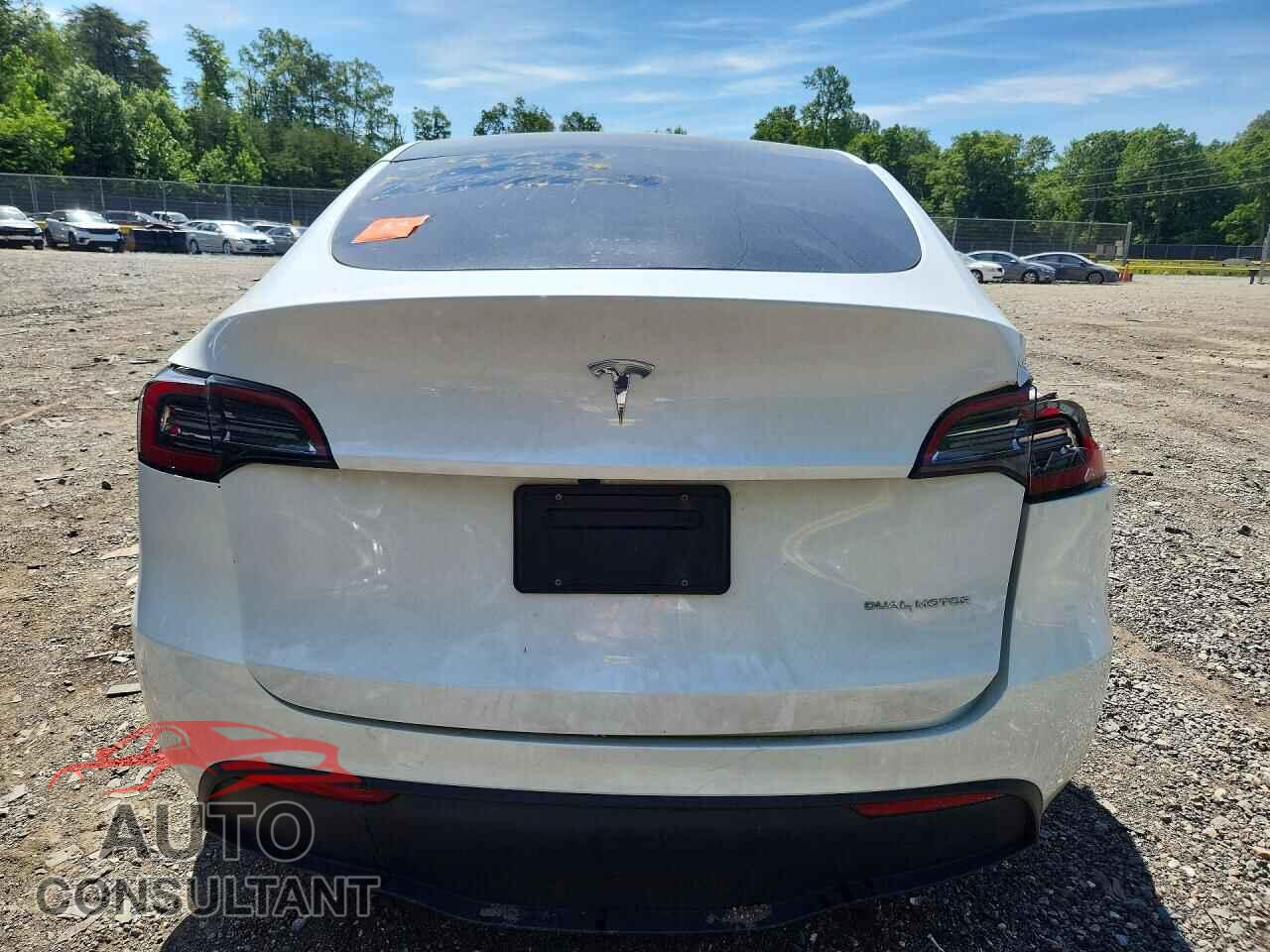 TESLA MODEL Y 2024 - 7SAYGAEEXRF994926