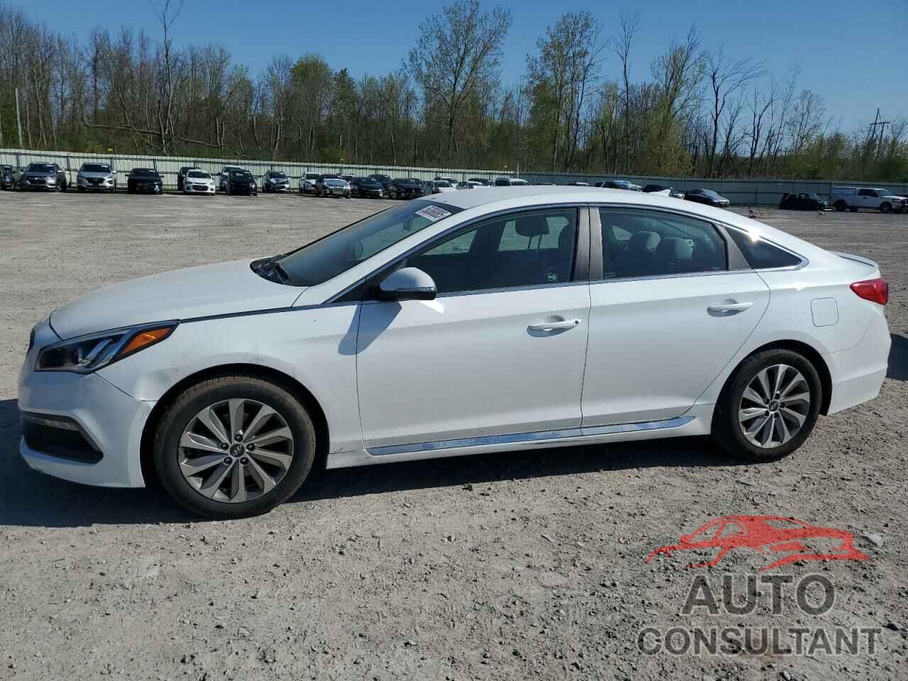 HYUNDAI SONATA 2017 - 5NPE34AF6HH557145