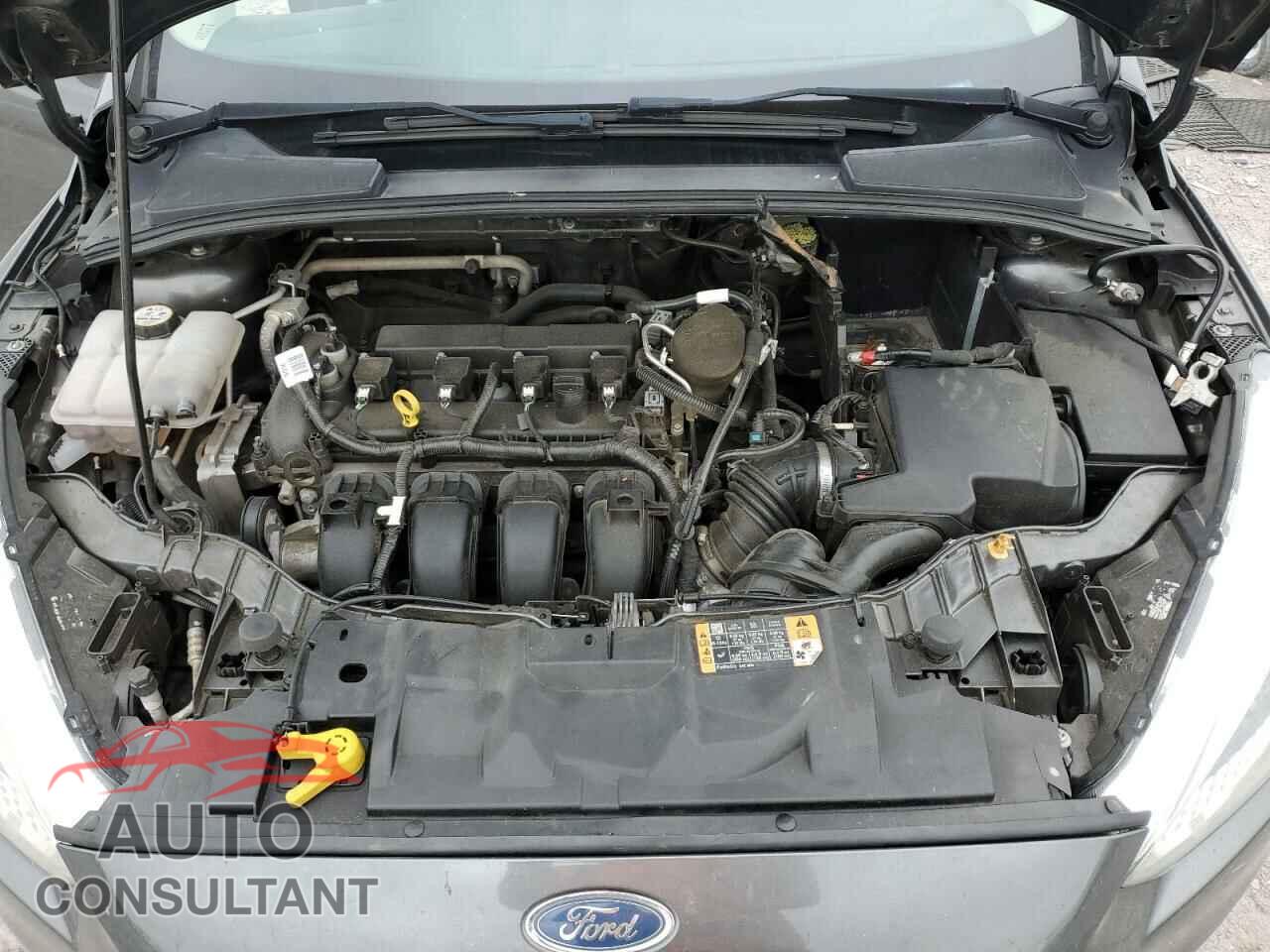 FORD FOCUS 2016 - 1FADP3F20GL278970