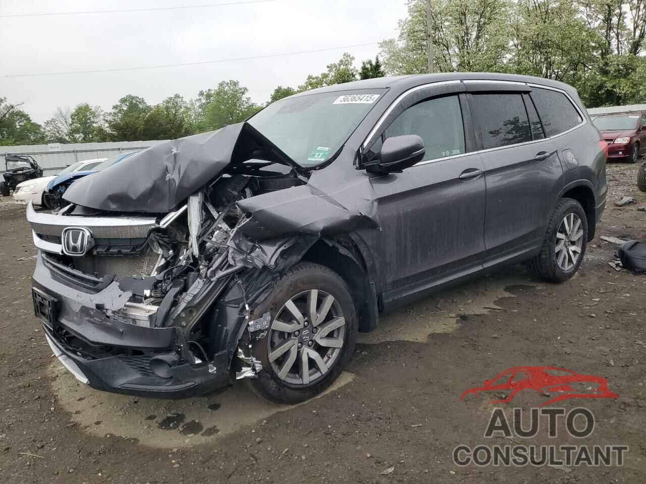 HONDA PILOT 2019 - 5FNYF6H52KB021134