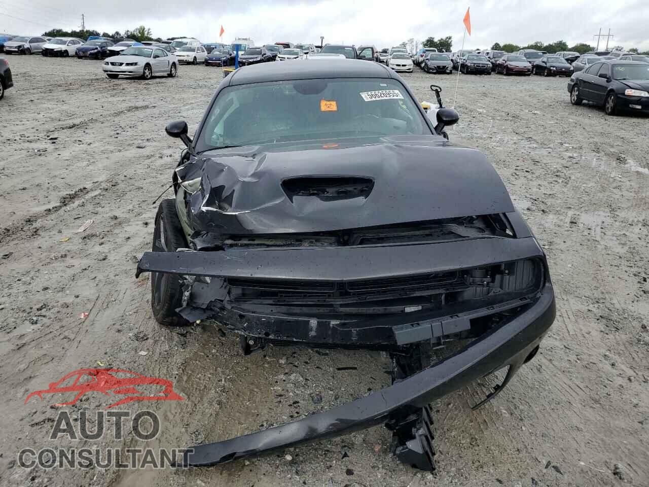 DODGE CHALLENGER 2021 - 2C3CDZBT5MH558946