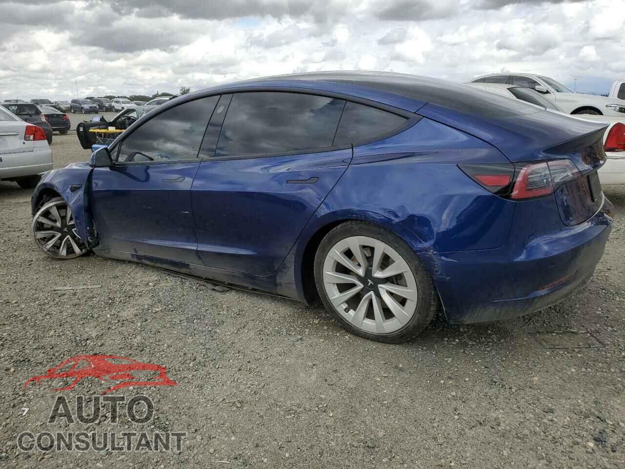 TESLA MODEL 3 2021 - 5YJ3E1EA6MF861244