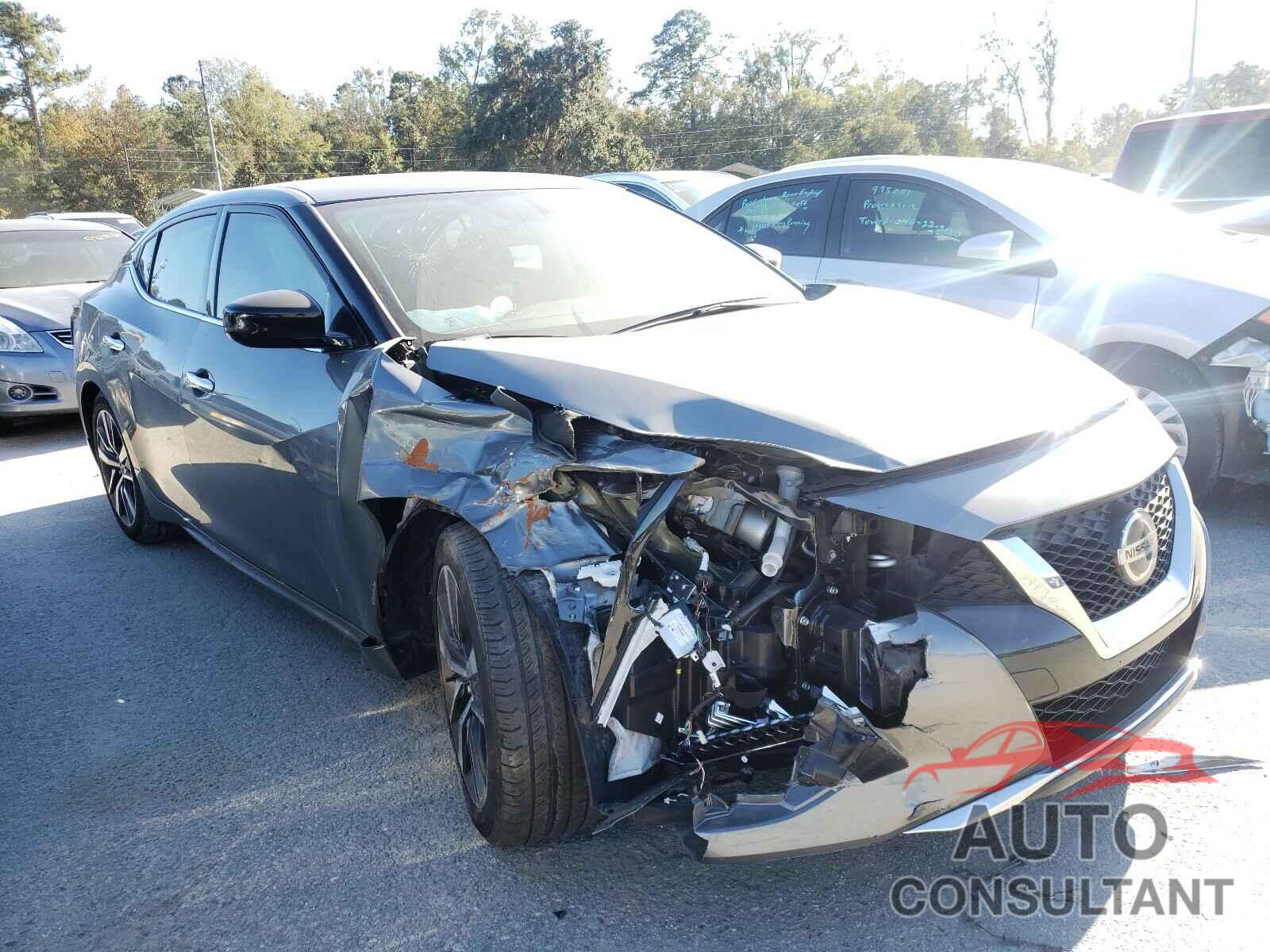 NISSAN MAXIMA 2019 - 1N4AA6AV1KC382688