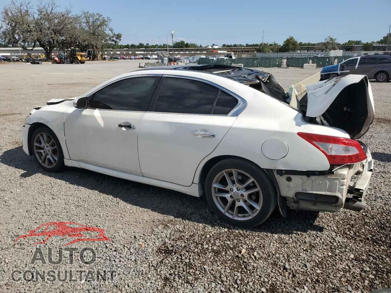 NISSAN MAXIMA 2009 - 1N4AA51E19C805368
