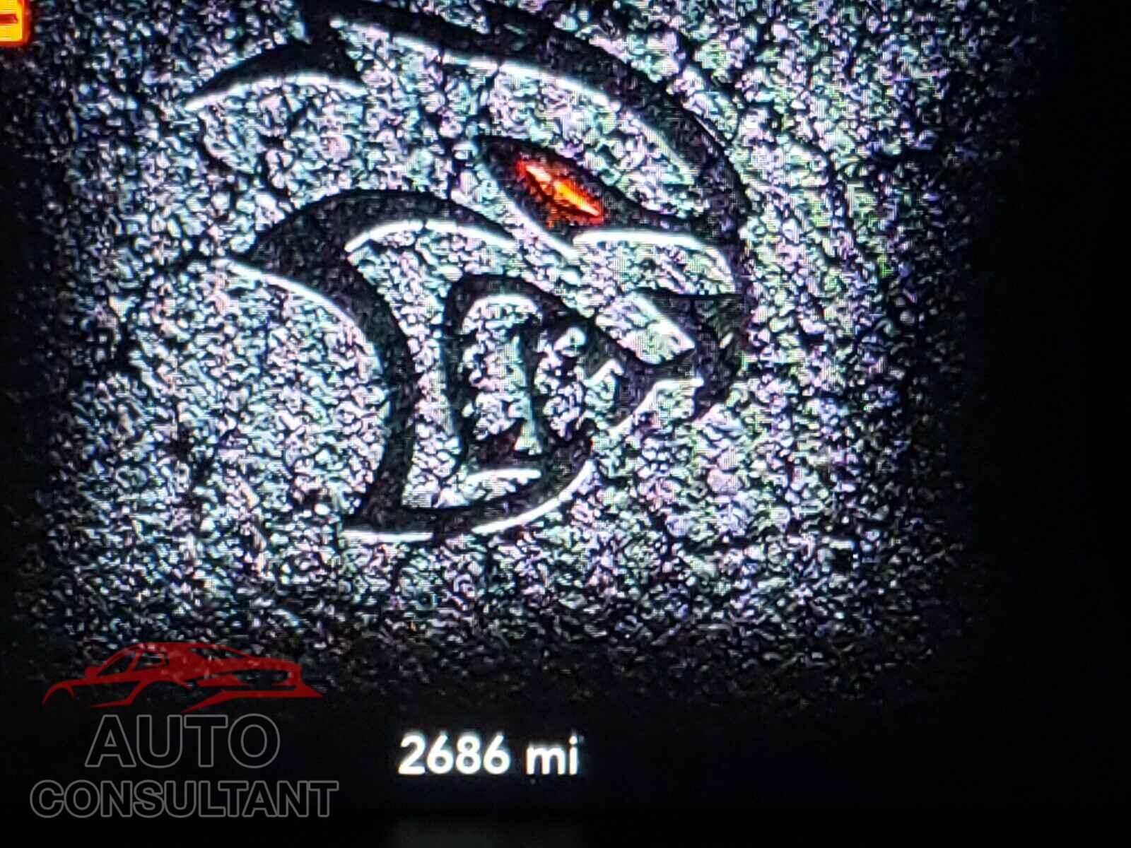 DODGE CHALLENGER 2019 - 2C3CDZL93KH611109