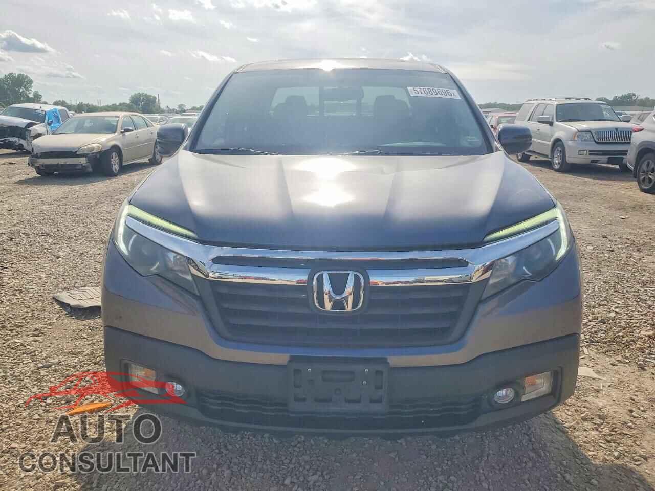 HONDA RIDGELINE 2019 - 5FPYK3F66KB026687