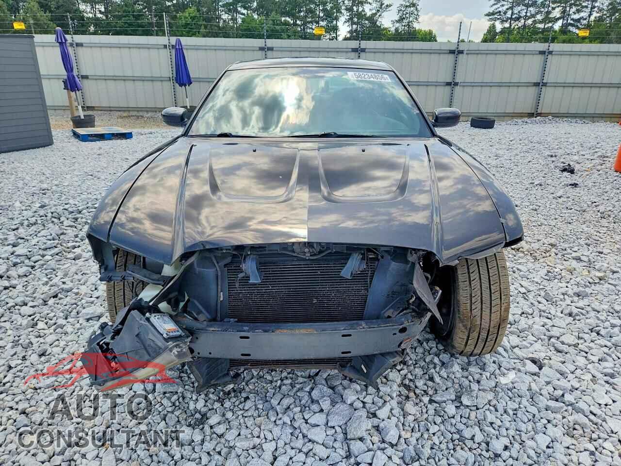 DODGE CHARGER 2011 - 2B3CL5CTXBH513229