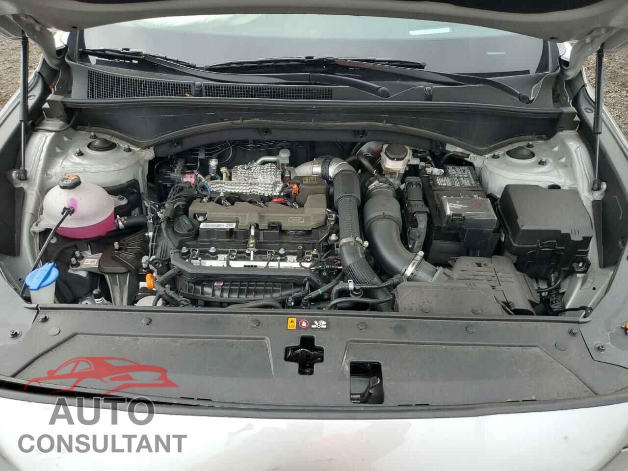 HYUNDAI SANTA FE 2023 - 5NMS5DAL1PH637726