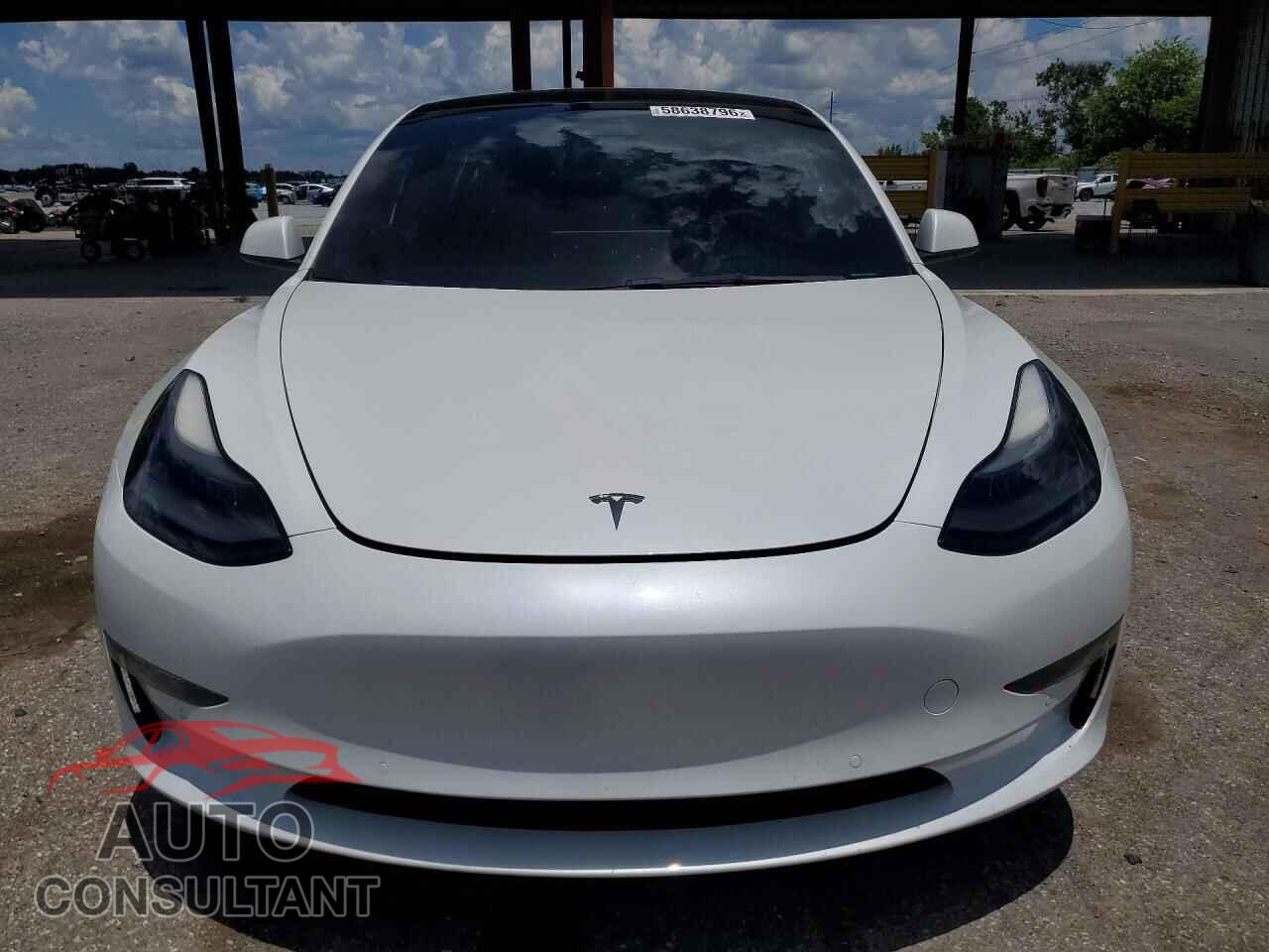 TESLA MODEL 3 2022 - 5YJ3E1EA7NF355553