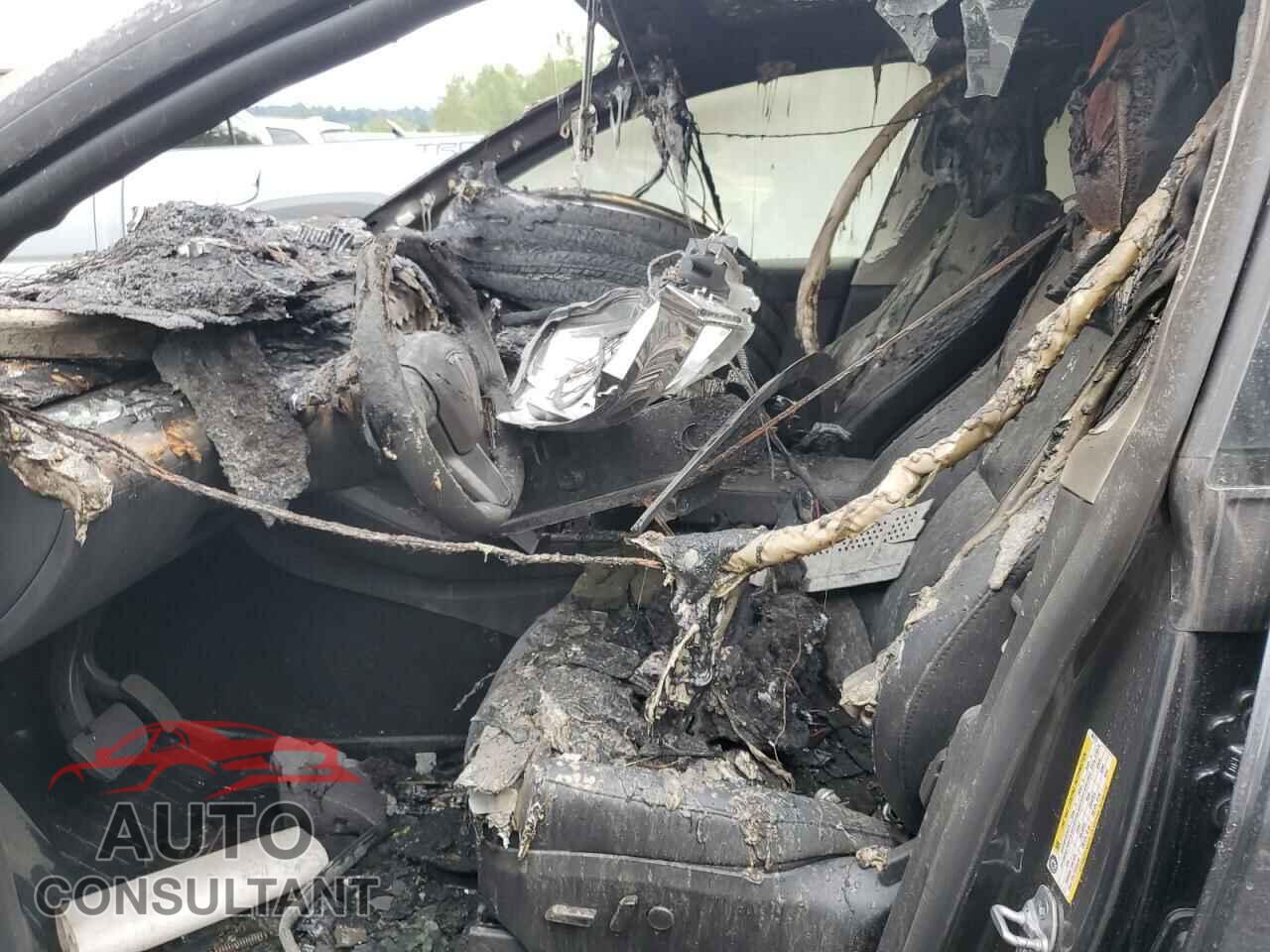 TESLA MODEL Y 2024 - 7SAYGDEE7RF062779