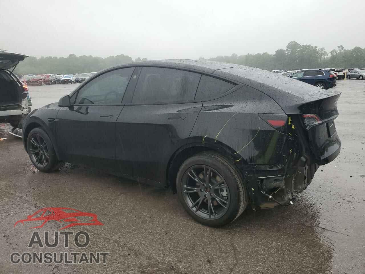 TESLA MODEL Y 2024 - 7SAYGDED9RF195941