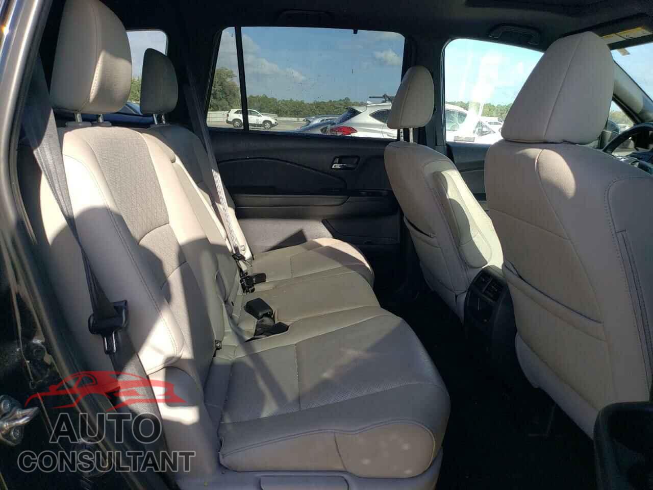HONDA PASSPORT 2019 - 5FNYF7H51KB007182