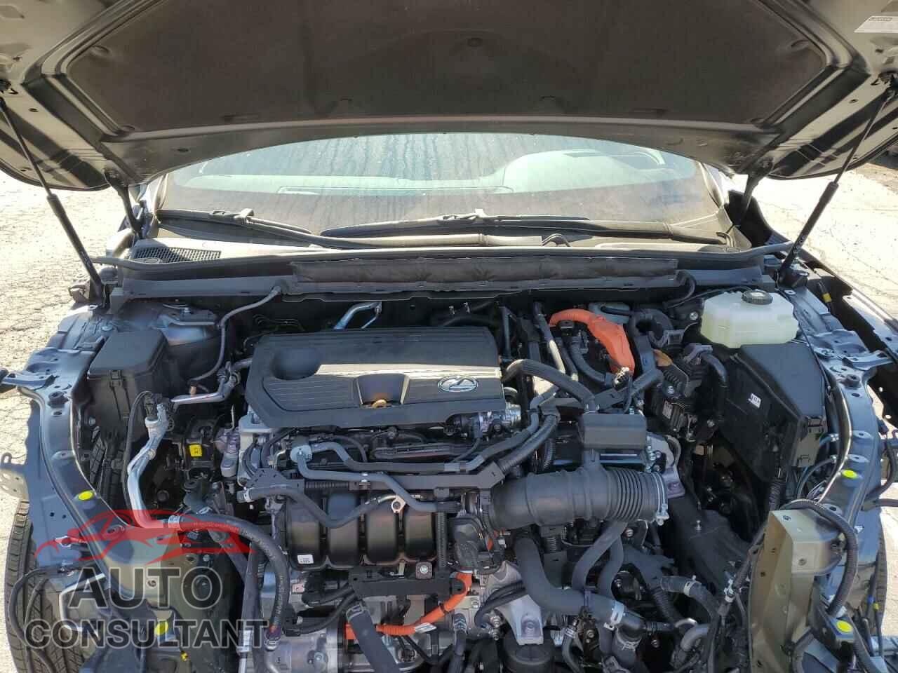 LEXUS RX 350H BA 2024 - 2T2BBMCA5RC026669